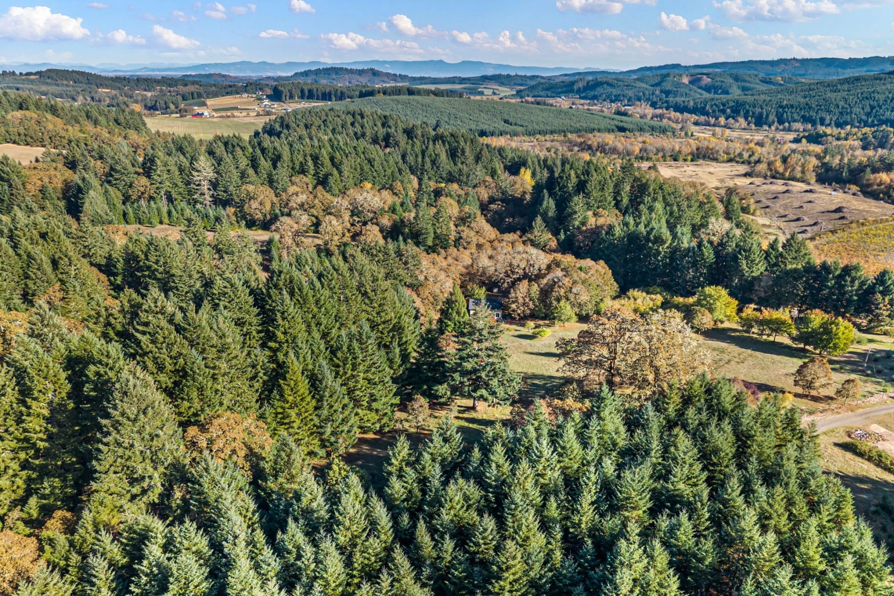  24027 HAWLEY CREEK RD Monroe, OR 97456 - 物件實景