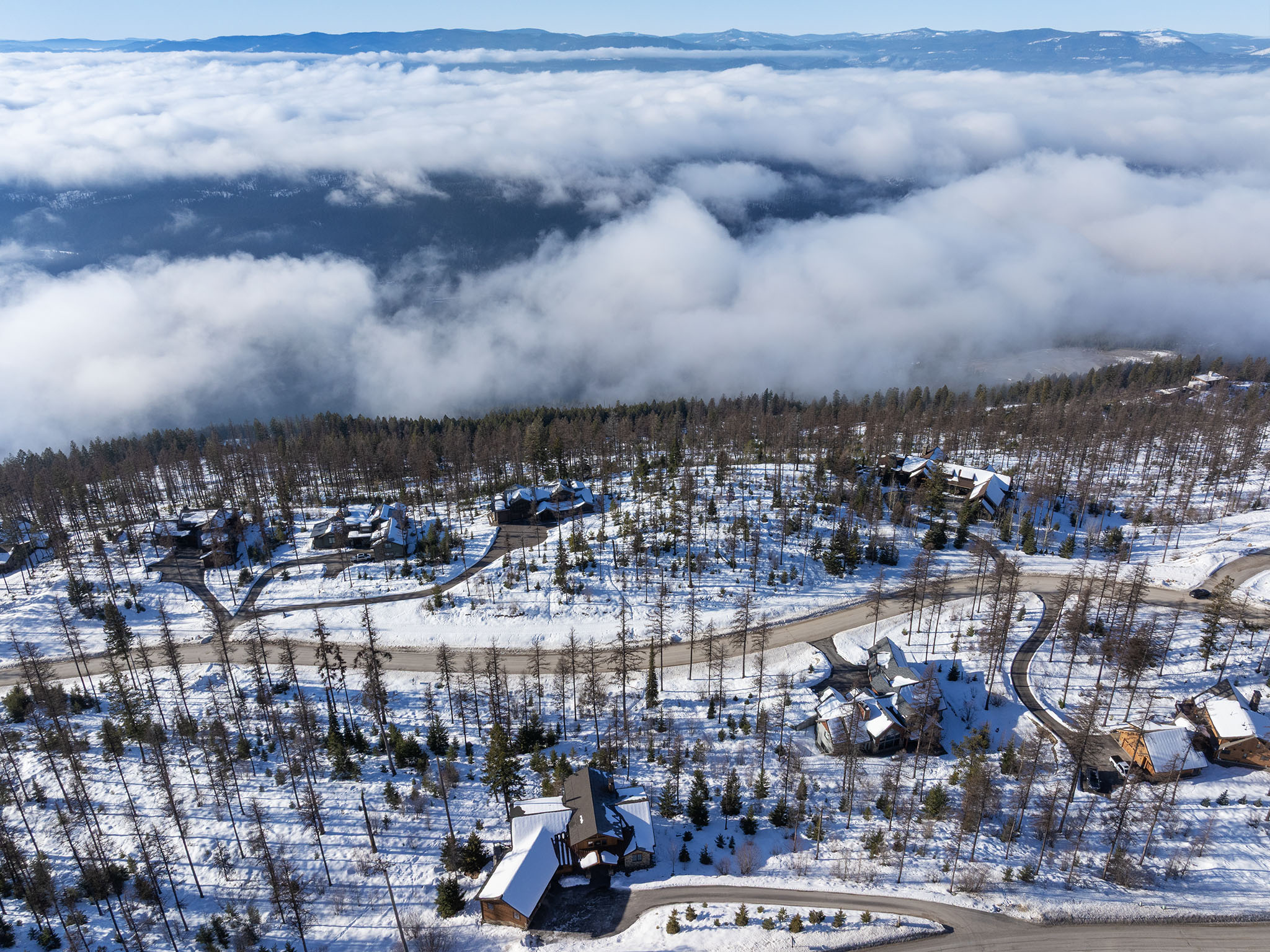  317 Elk Highlands Drive - 物件實景
