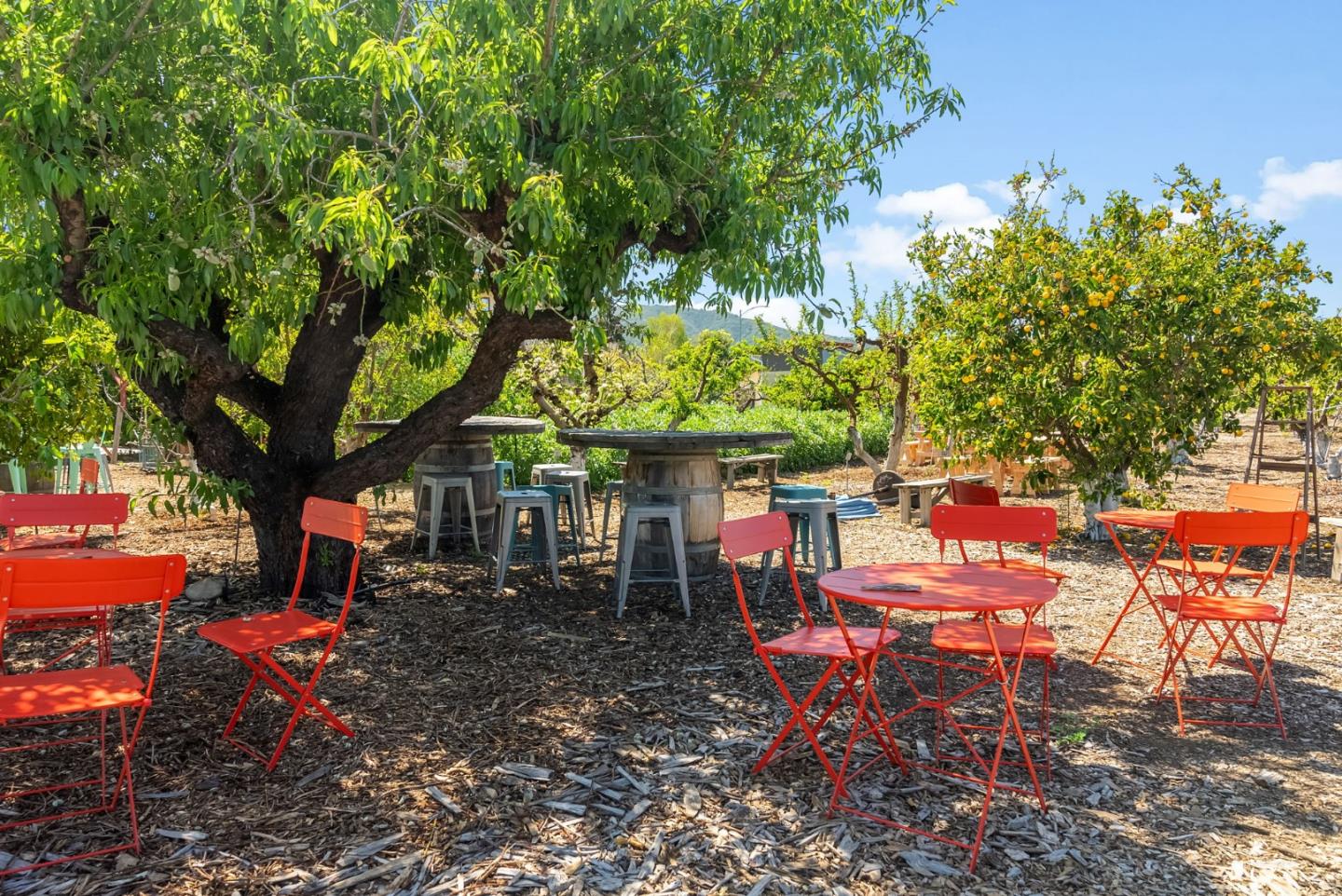 San Jose, California, 95118, United States, 3 Bedrooms Bedrooms, ,2 BathroomsBathrooms,Residential,For Sale,1926221