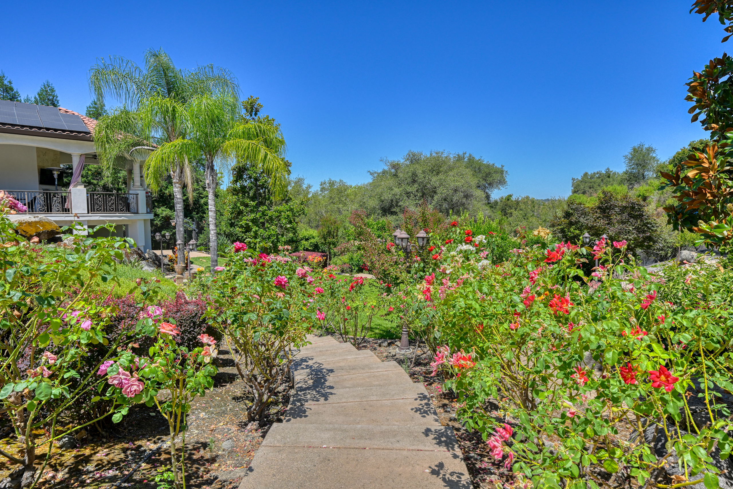  5645 Los Posas Way, Granite Bay, CA 95746 - 物件實景