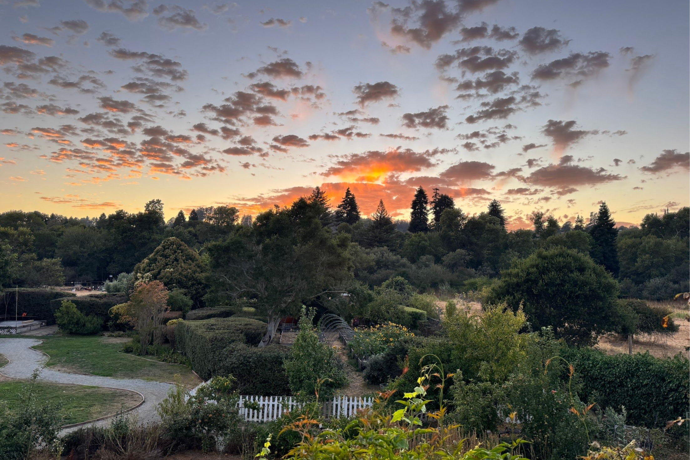  3999 Cherryvale Avenue, Soquel - 物件實景