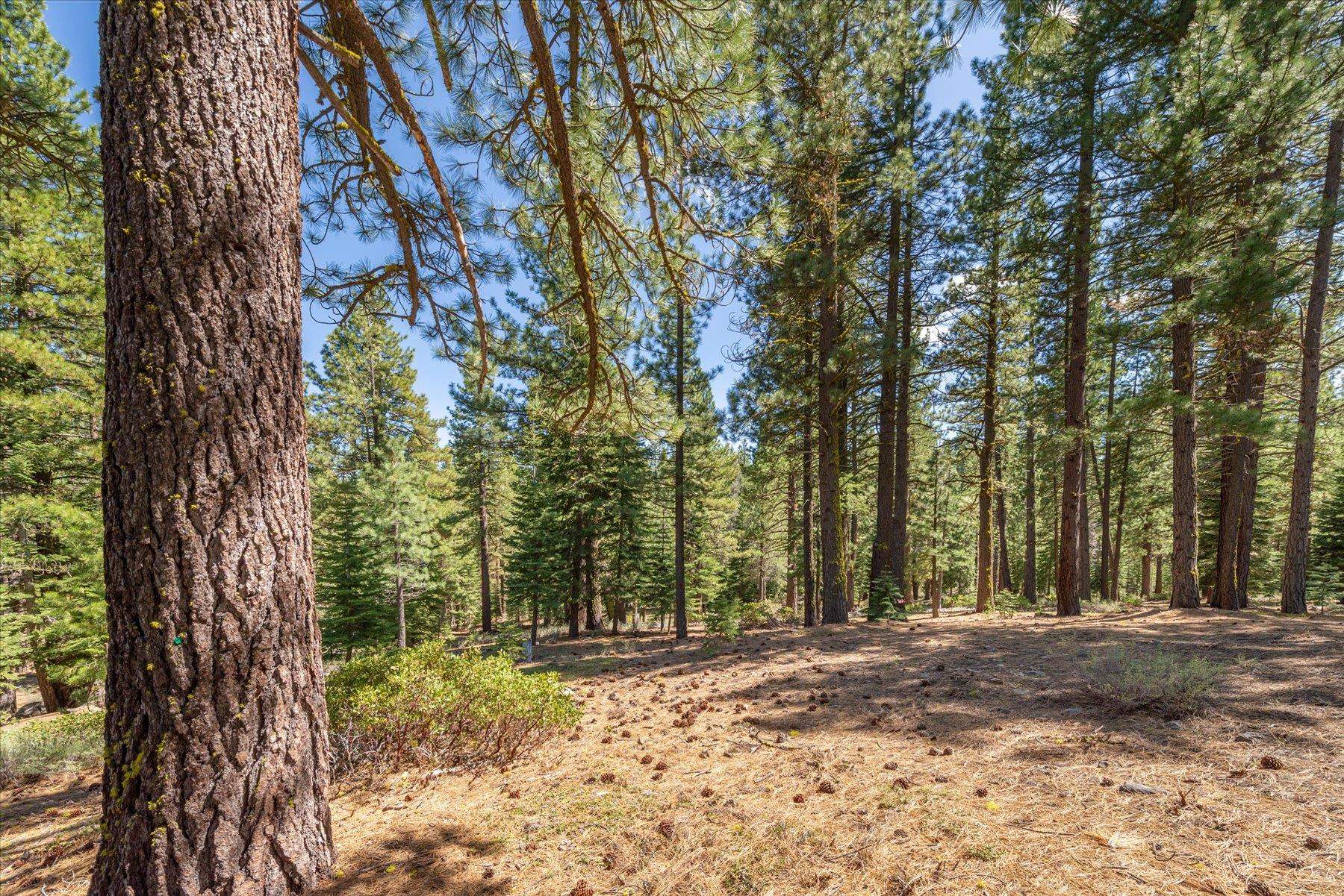 Truckee, California, 96161, United States, ,Land,For Sale,1828145