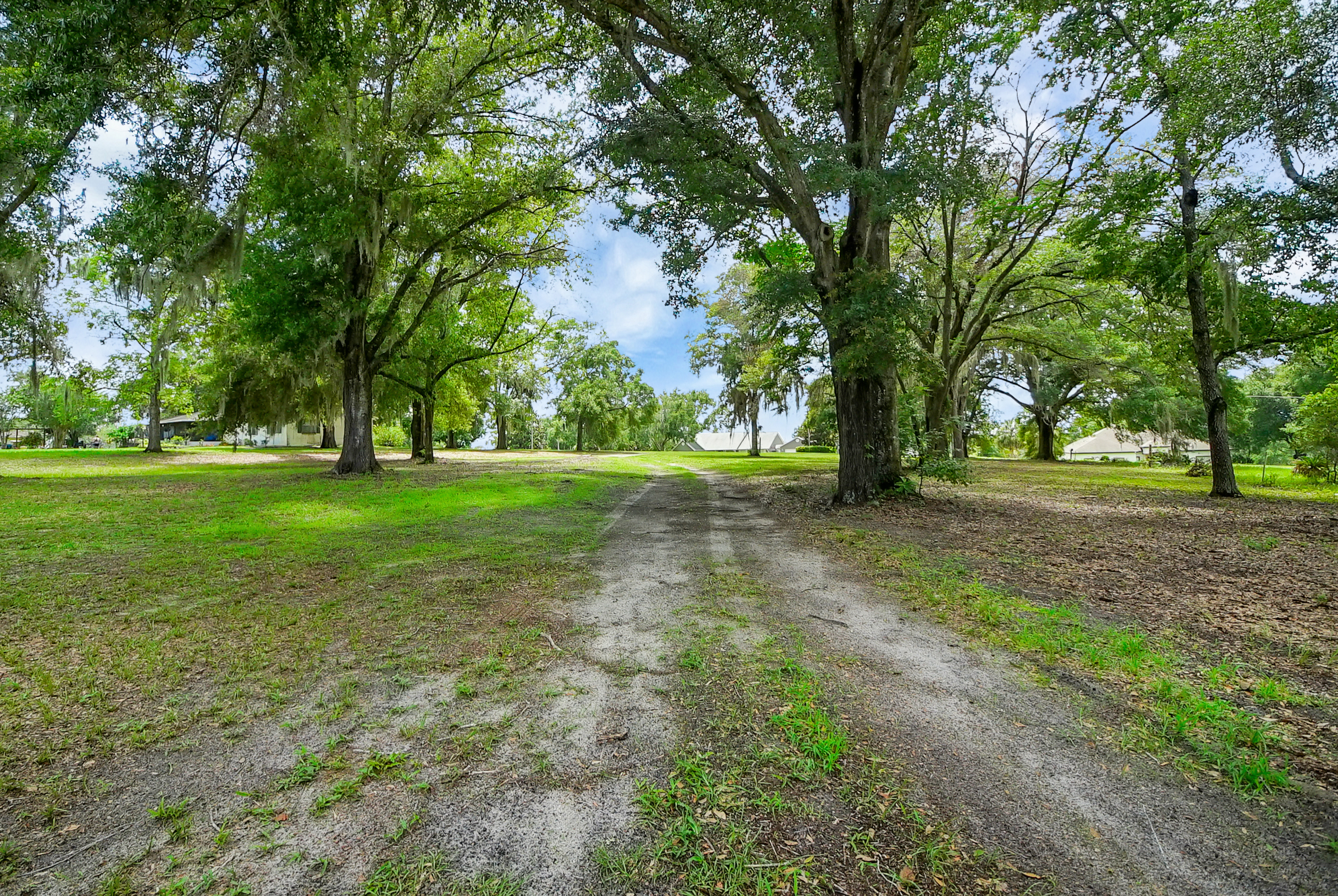 Lady Lake, Florida, 32159, United States, 4 Bedrooms Bedrooms, ,2 BathroomsBathrooms,Residential,For Sale,1873535