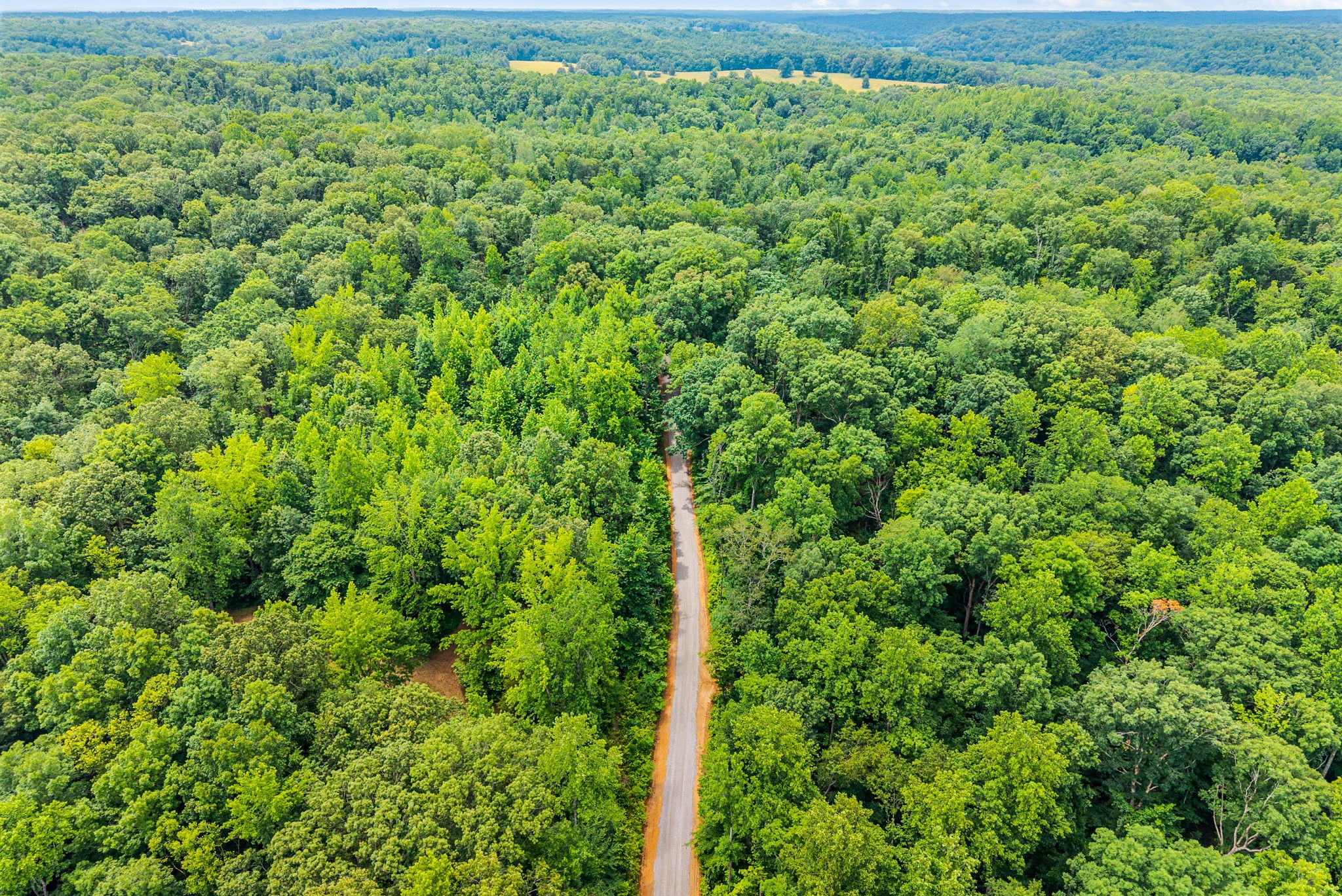  196 Wildlife Road, Dover, TN, 37058 - 物件實景
