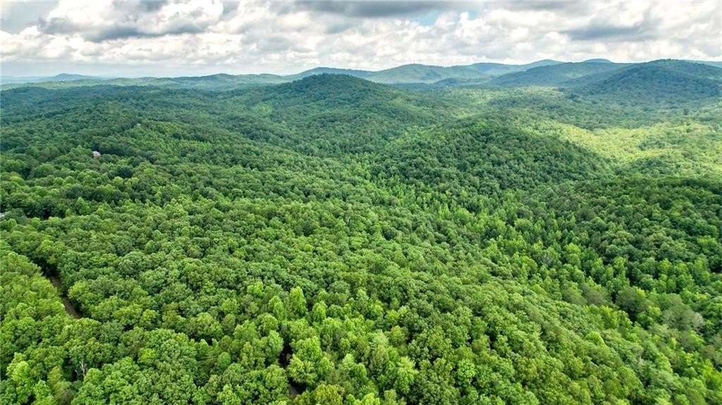 Jasper, Georgia, 30143, United States, ,Land,For Sale,1976881