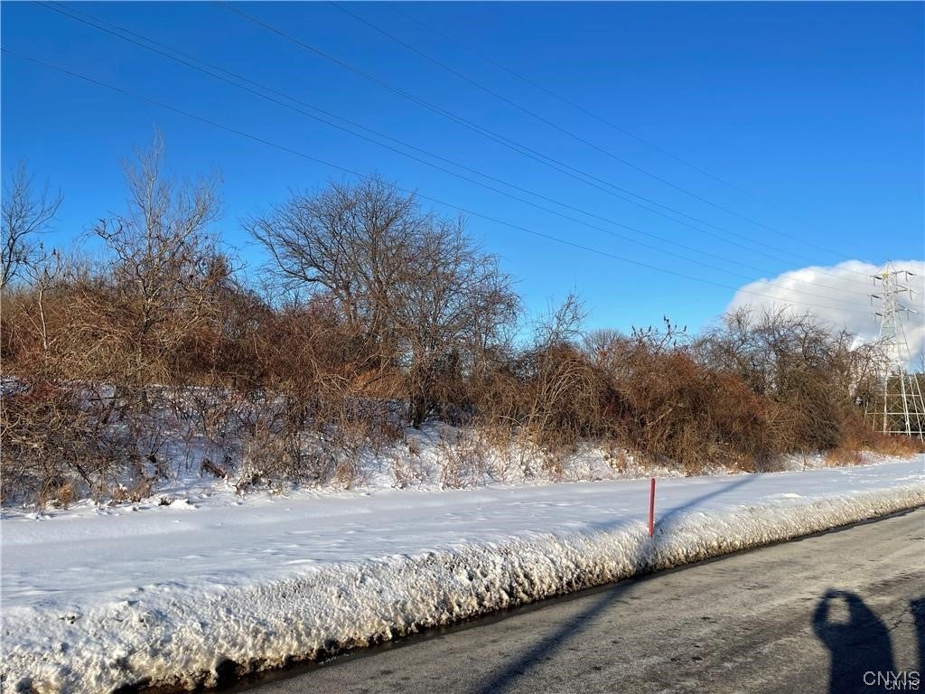 101 Mitchell Street, Oswego, New York, 13126, United States, ,Residential,For Sale,101 Mitchell Street,1637065