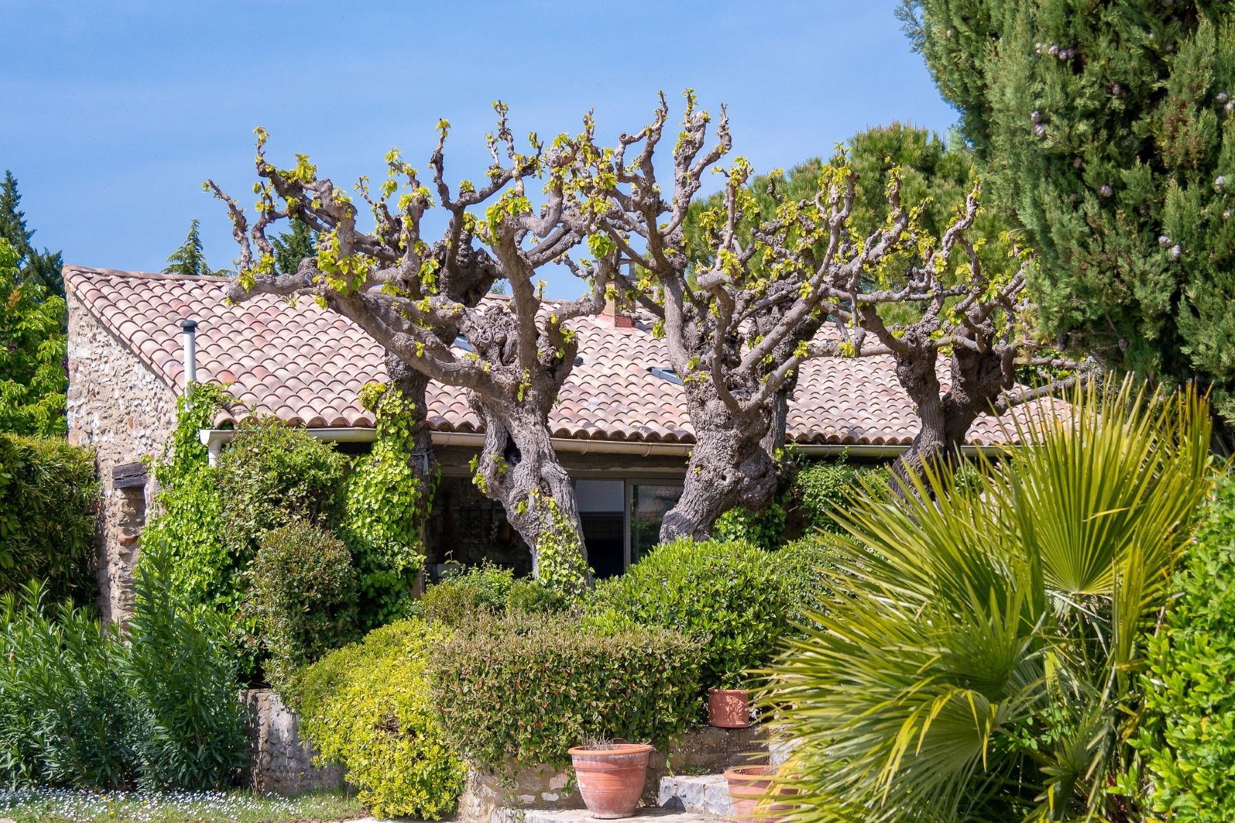  Uzès - Stunning Mas with Exceptional Views, Peaceful Setting - 物件實景