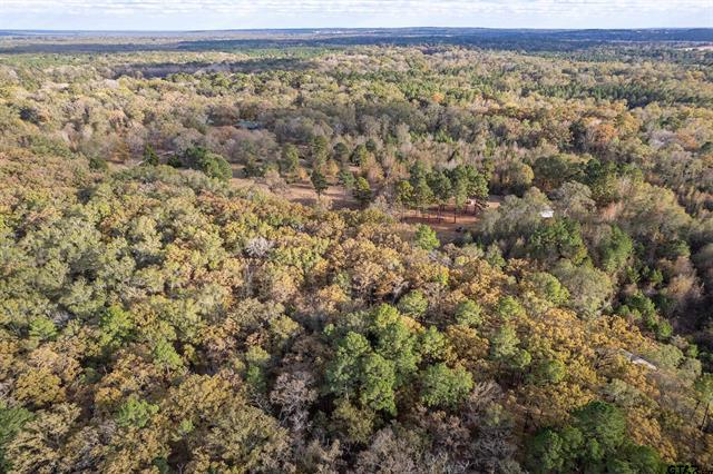 Winona, Texas, 75792, United States, 4 Bedrooms Bedrooms, ,3 BathroomsBathrooms,Residential,For Sale,1996404