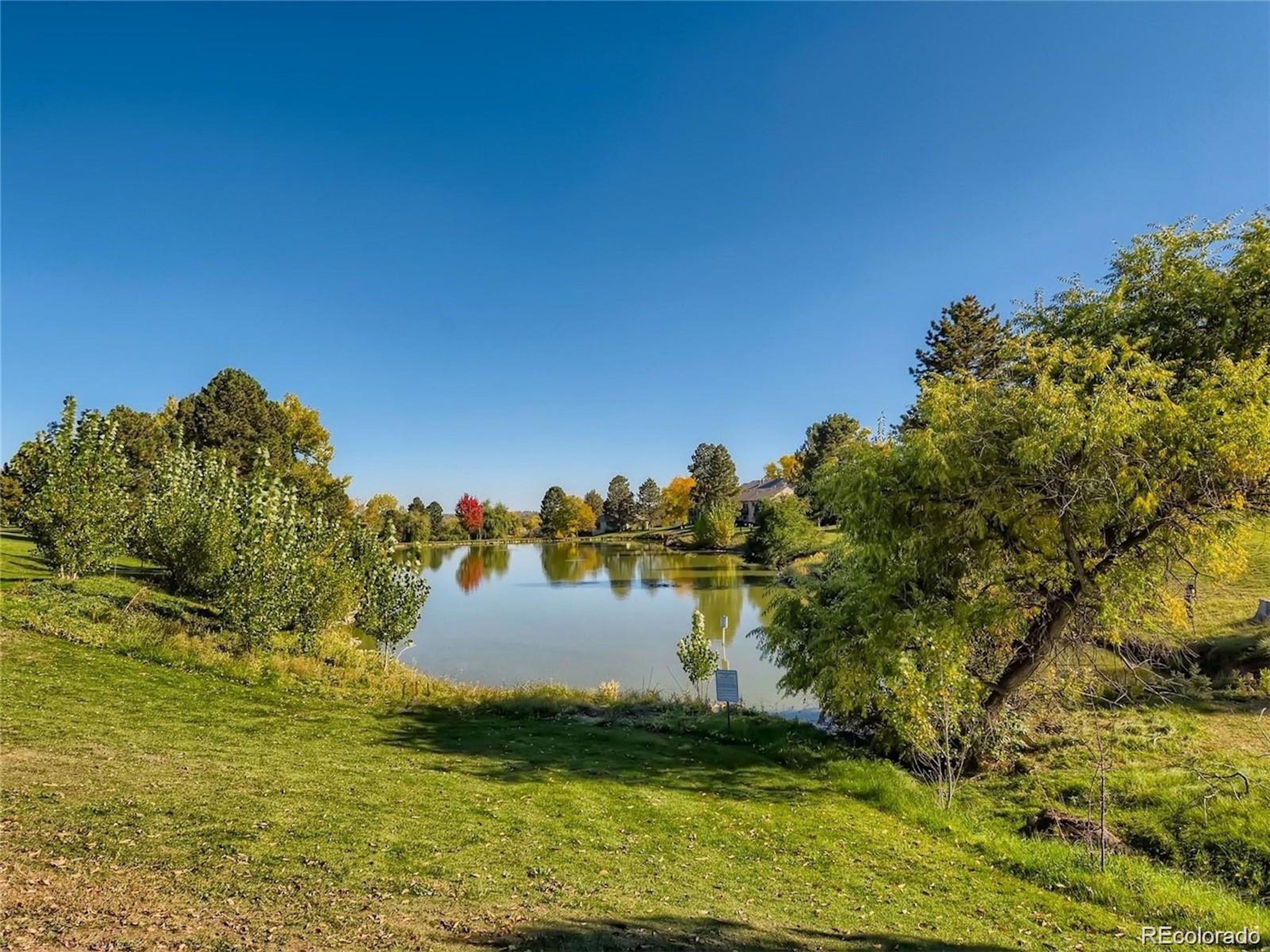  4523 W Ponds Circle, Littleton, CO, 80123 - 物件實景