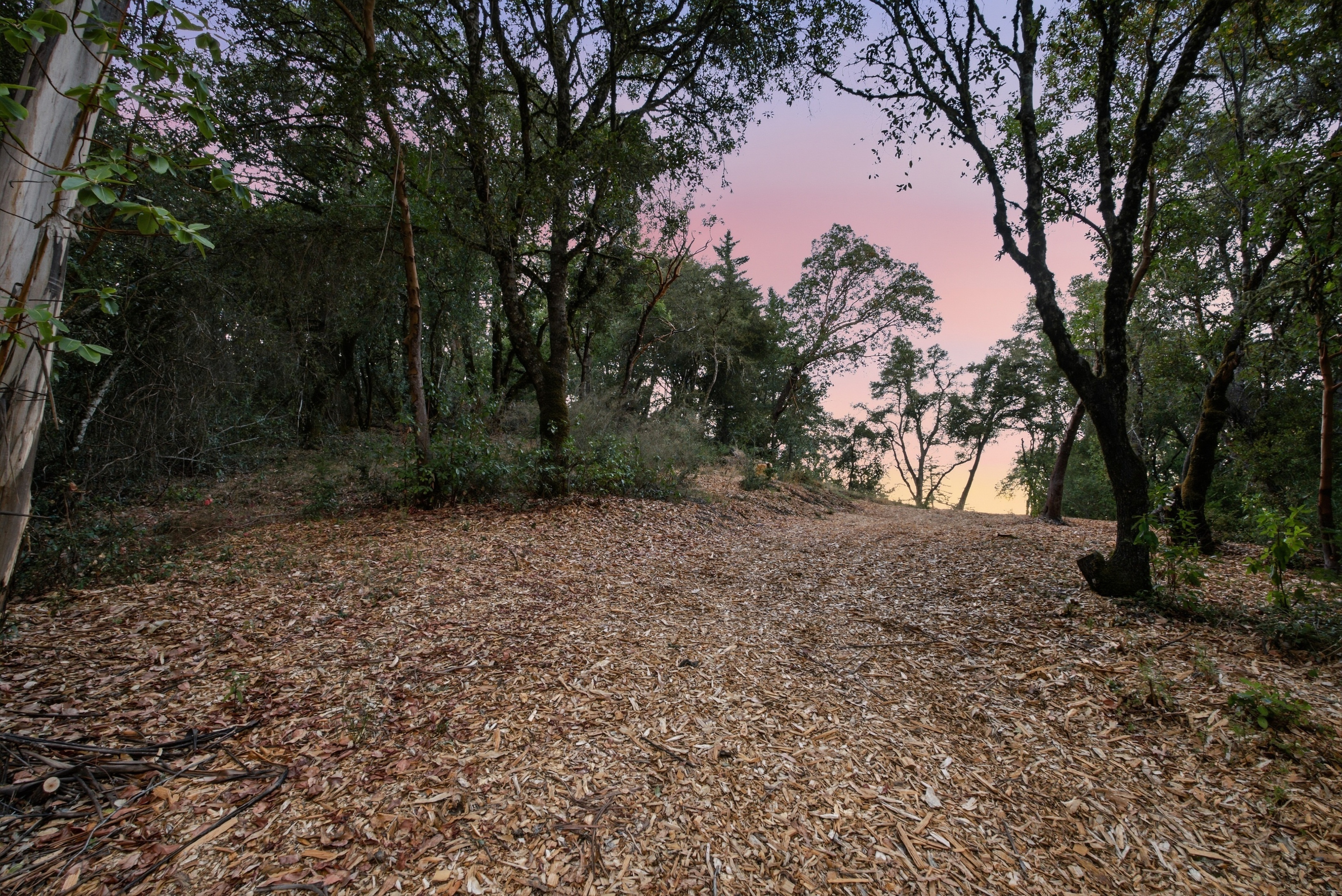  Exceptional Five-Acre Estate Opportunity with Bay Area Views - 物件實景
