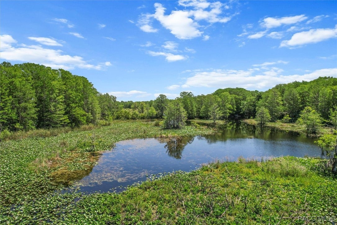 Inverness, Florida, 34450, United States, 3 Bedrooms Bedrooms, ,2 BathroomsBathrooms,Residential,For Sale,1777640