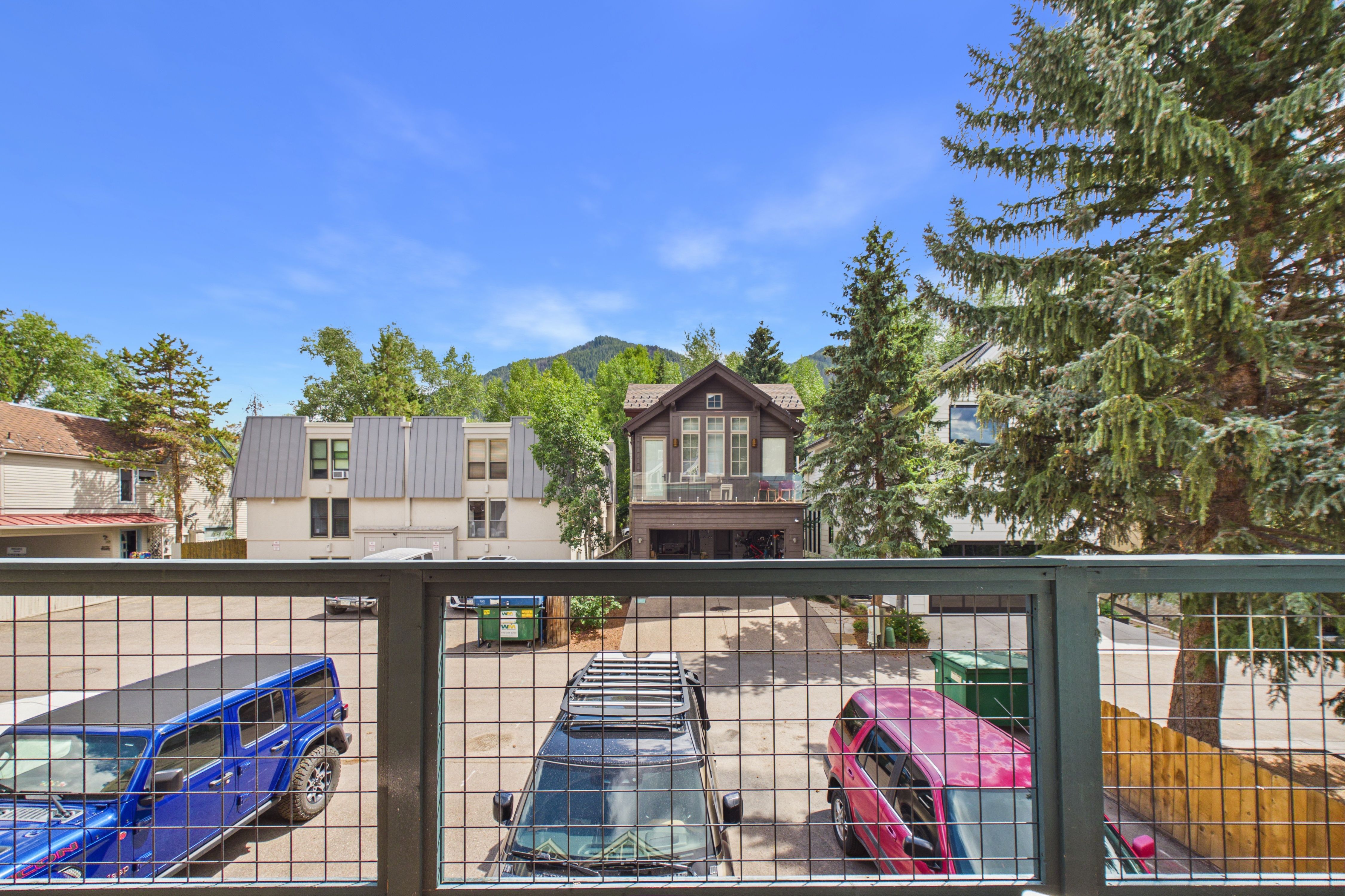  915 East Hopkins Avenue, Aspen, CO 81611 - 物件實景