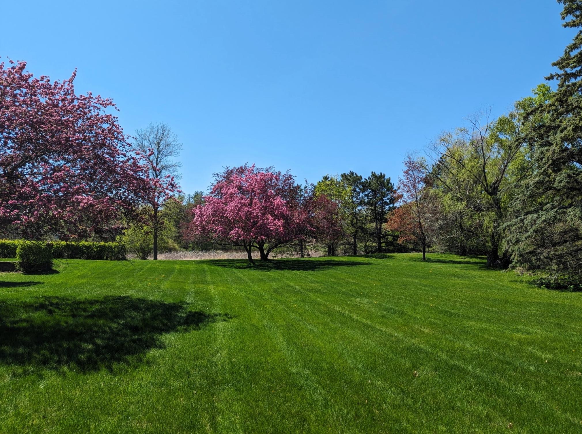 Ramsey, Minnesota, 55303, United States, 4 Bedrooms Bedrooms, ,1 BathroomBathrooms,Residential,For Sale,1743651