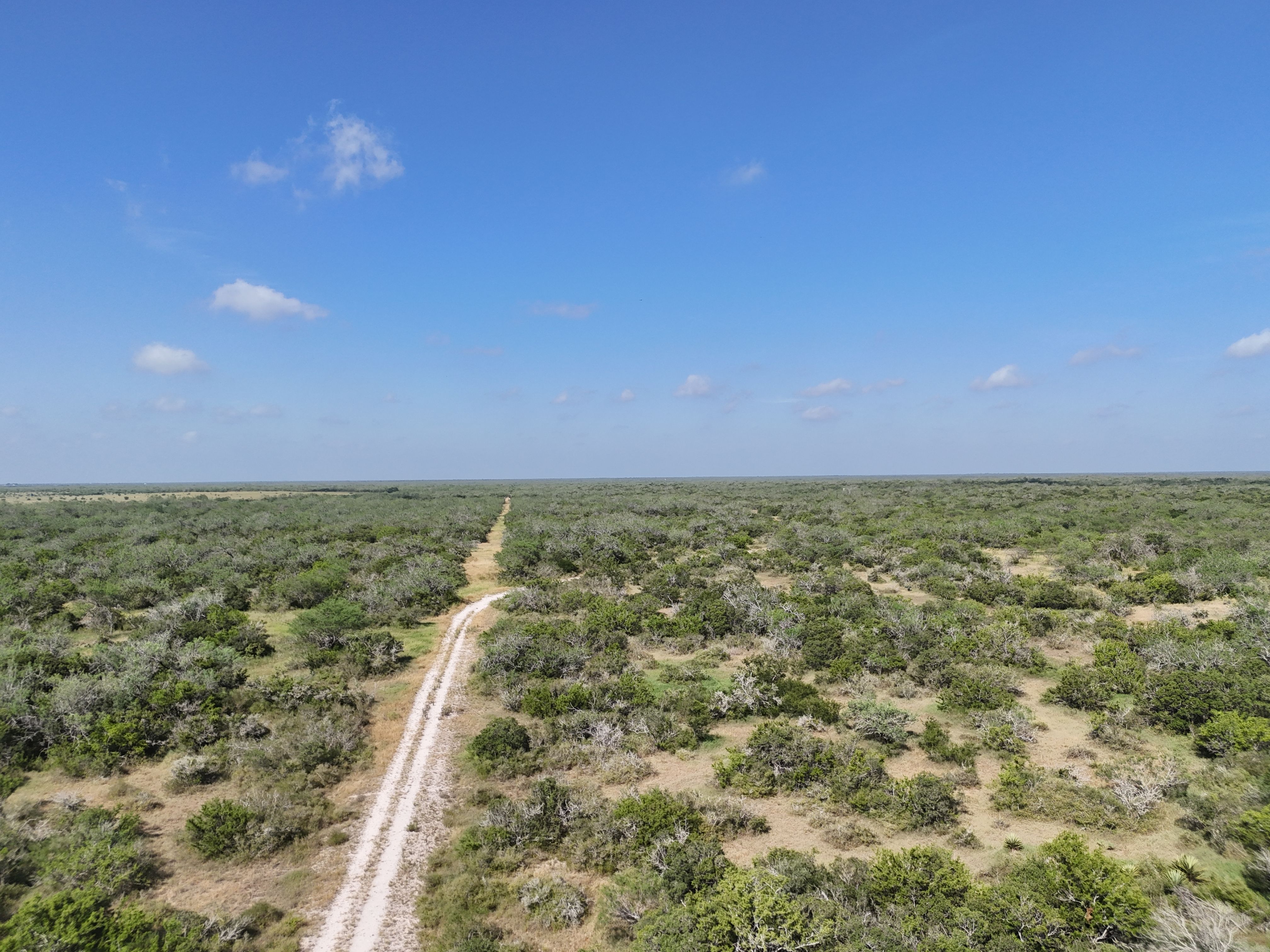  976+/- Acres - San Andreas Creek Ranch - 物件實景