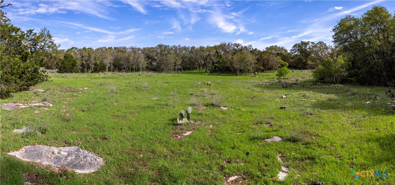 San Marcos, Texas, 78666, United States, ,Land,For Sale,1990898