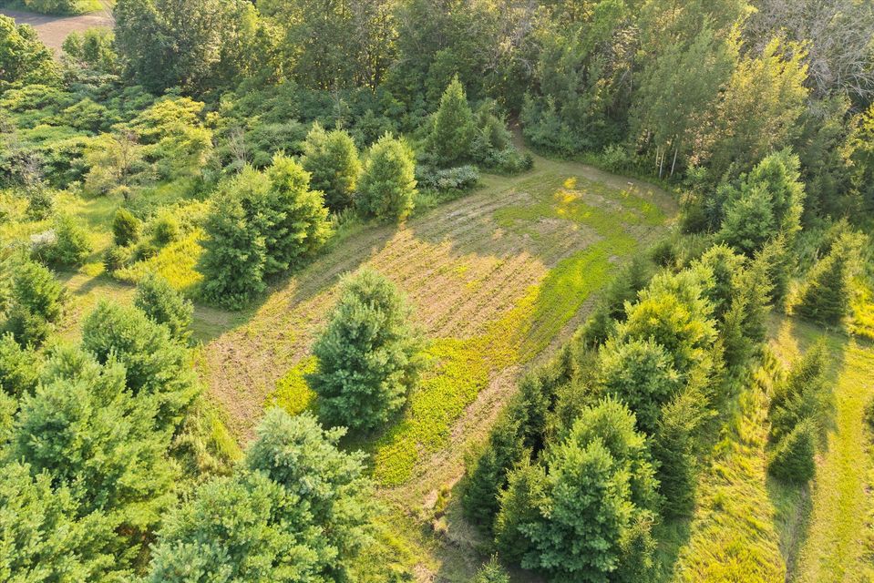 Rhine, Wisconsin, 53020, United States, ,Land,For Sale,1983397