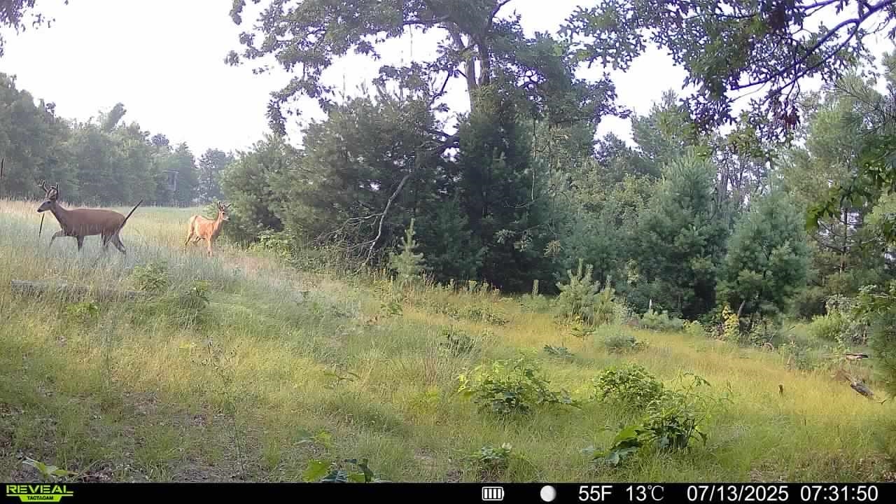 Warrens, Wisconsin, 54666, United States, 4 Bedrooms Bedrooms, ,3 BathroomsBathrooms,Residential,For Sale,1975252