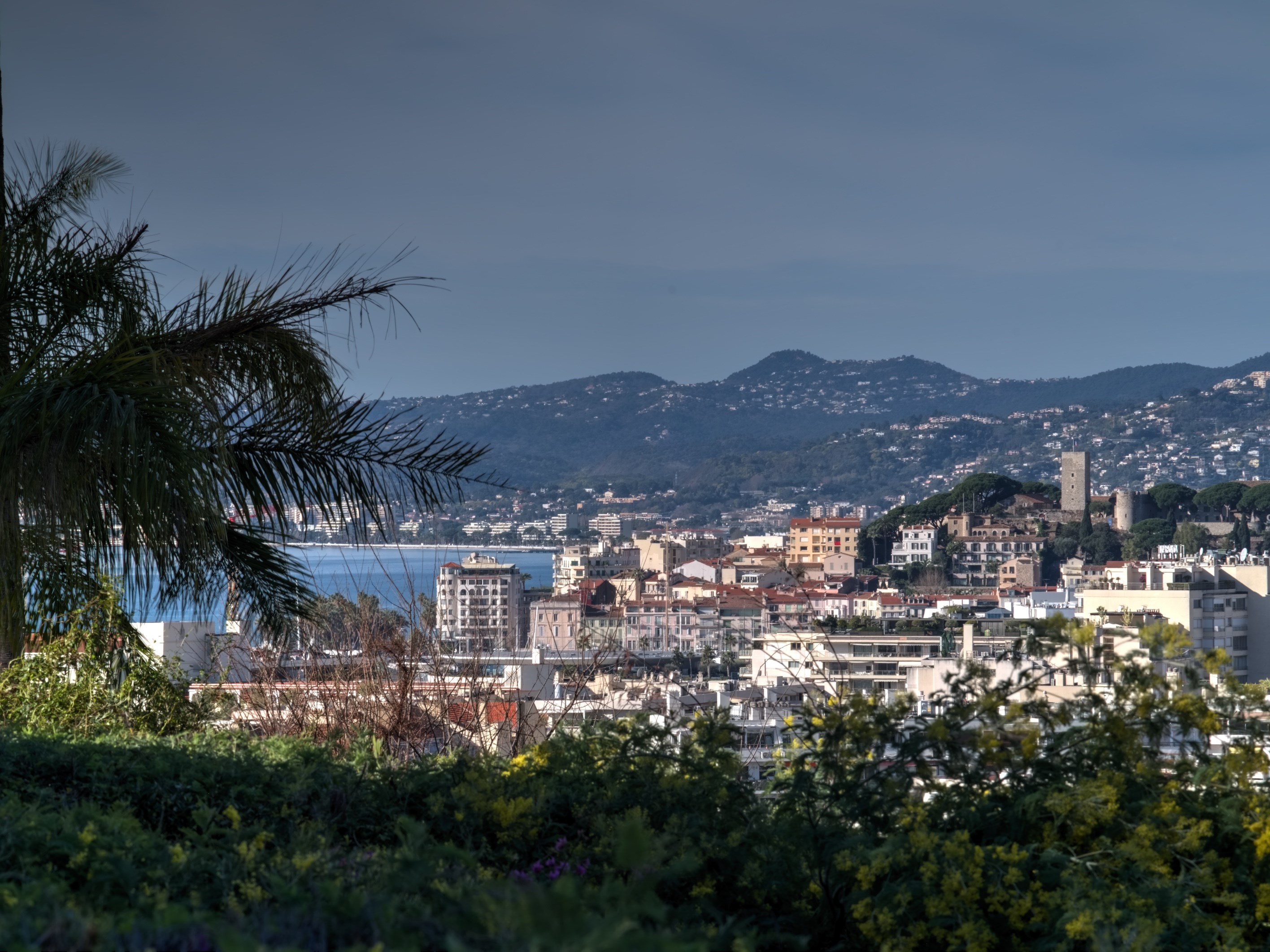  2-bed apartment with terrace and sea view in Cannes - Basse Californie - 物件實景