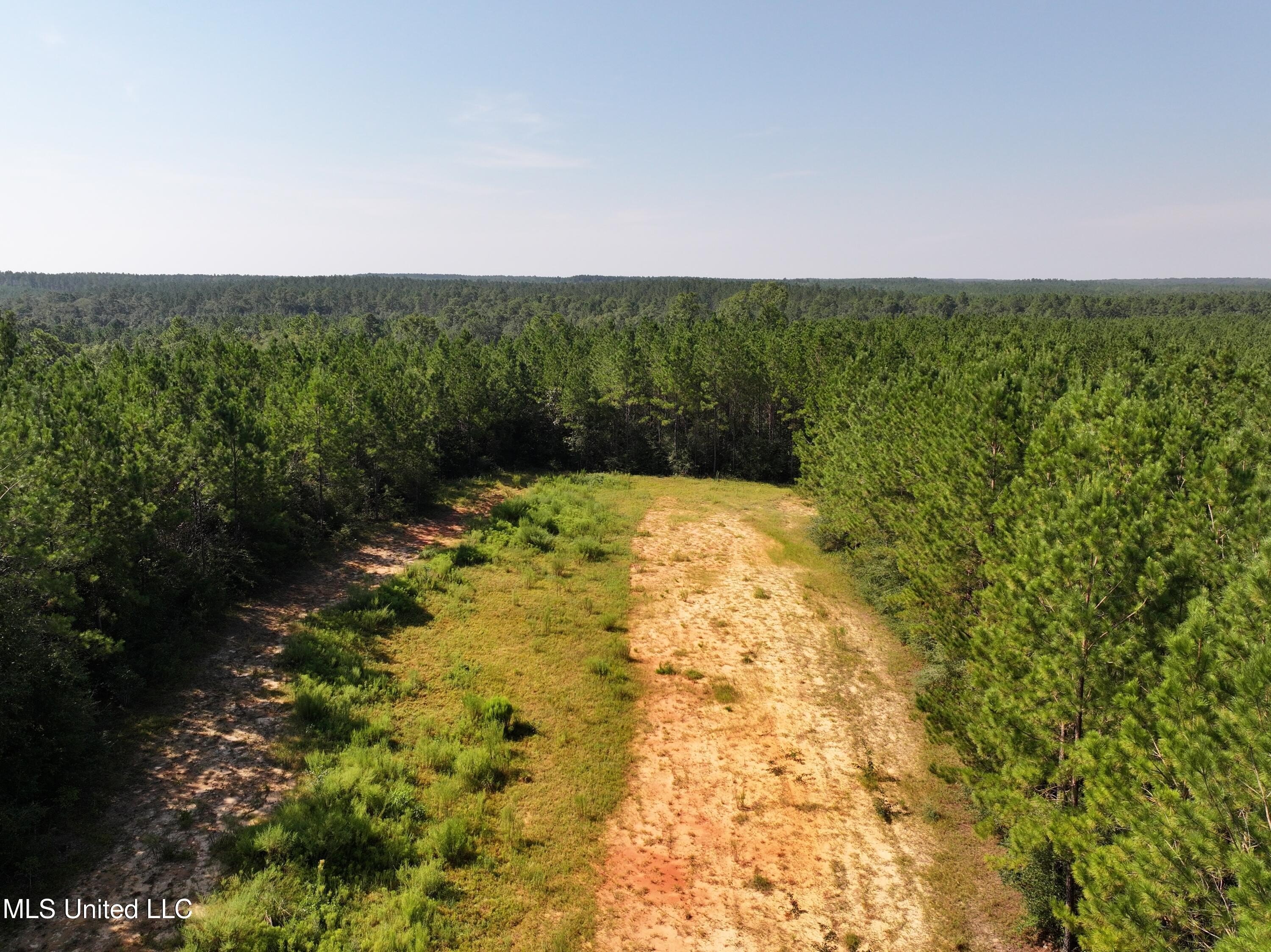 Lucedale, Mississippi, 39452, United States, ,Land,For Sale,1974704
