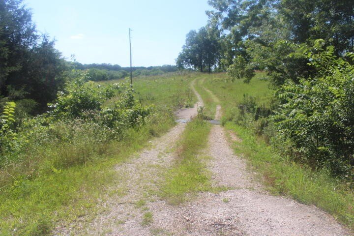 Polk, Missouri, 65727, United States, ,Land,For Sale,1980569