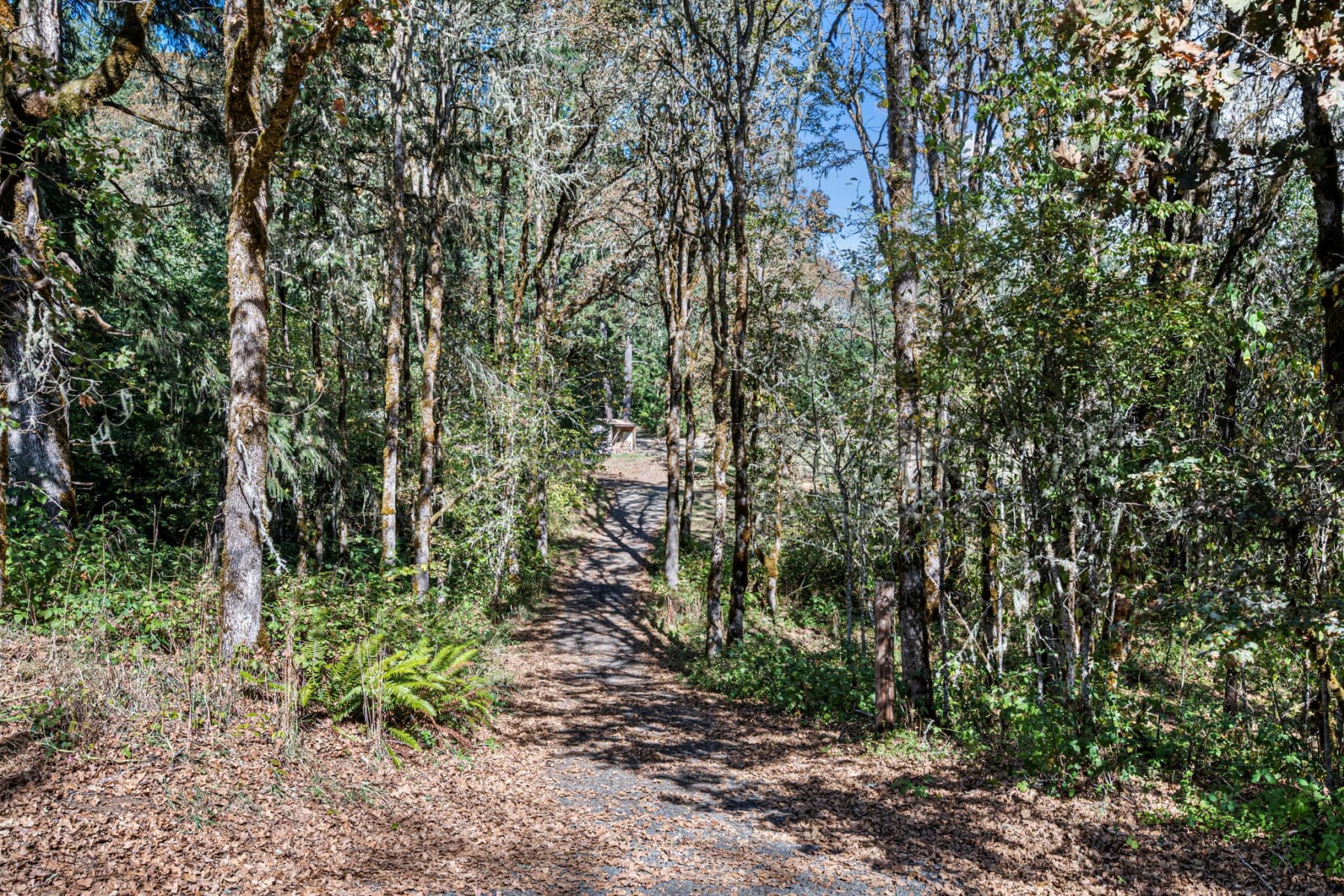  24027 HAWLEY CREEK RD Monroe, OR 97456 - 物件實景