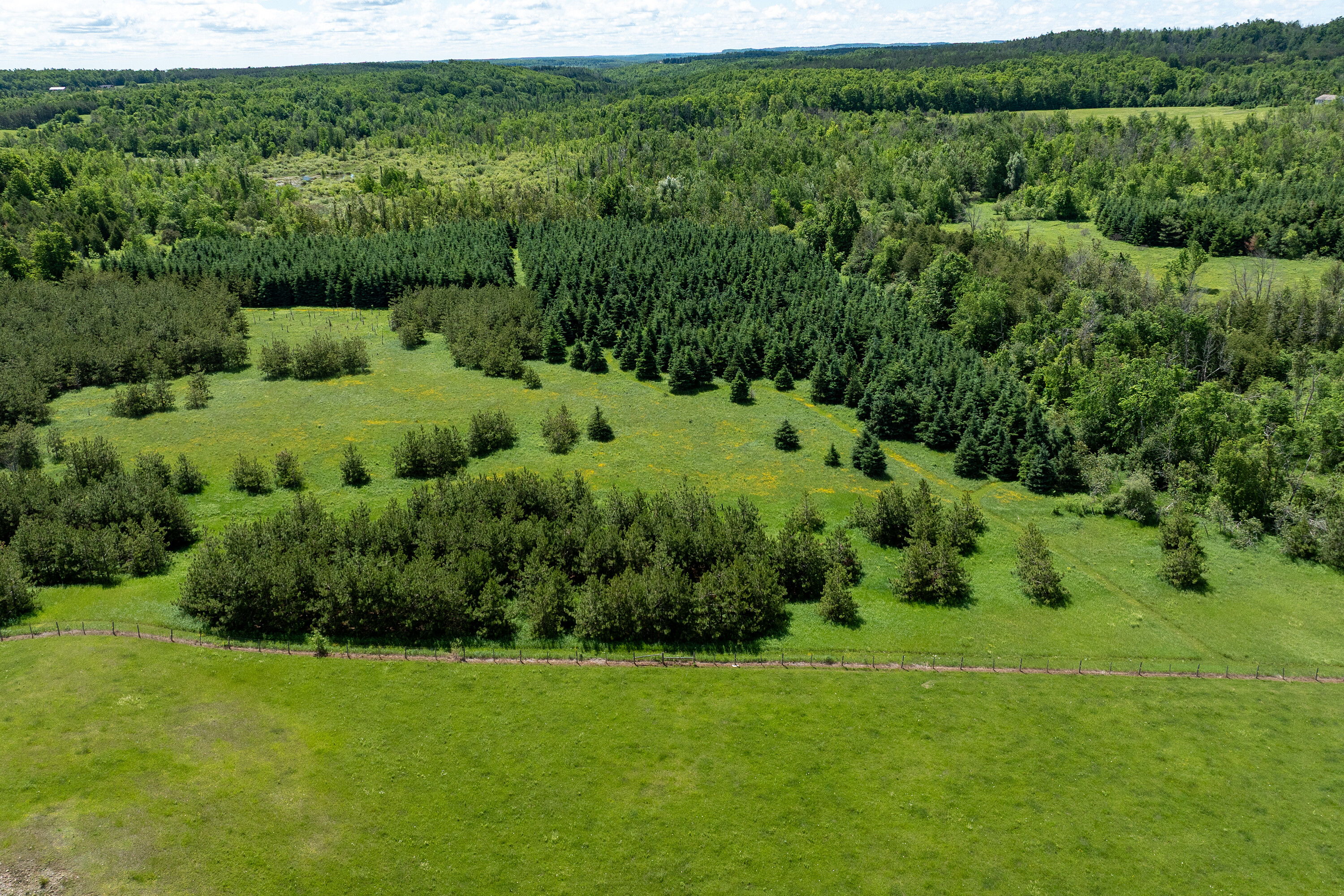  50 acre parcel in Mulmur ON - 物件實景