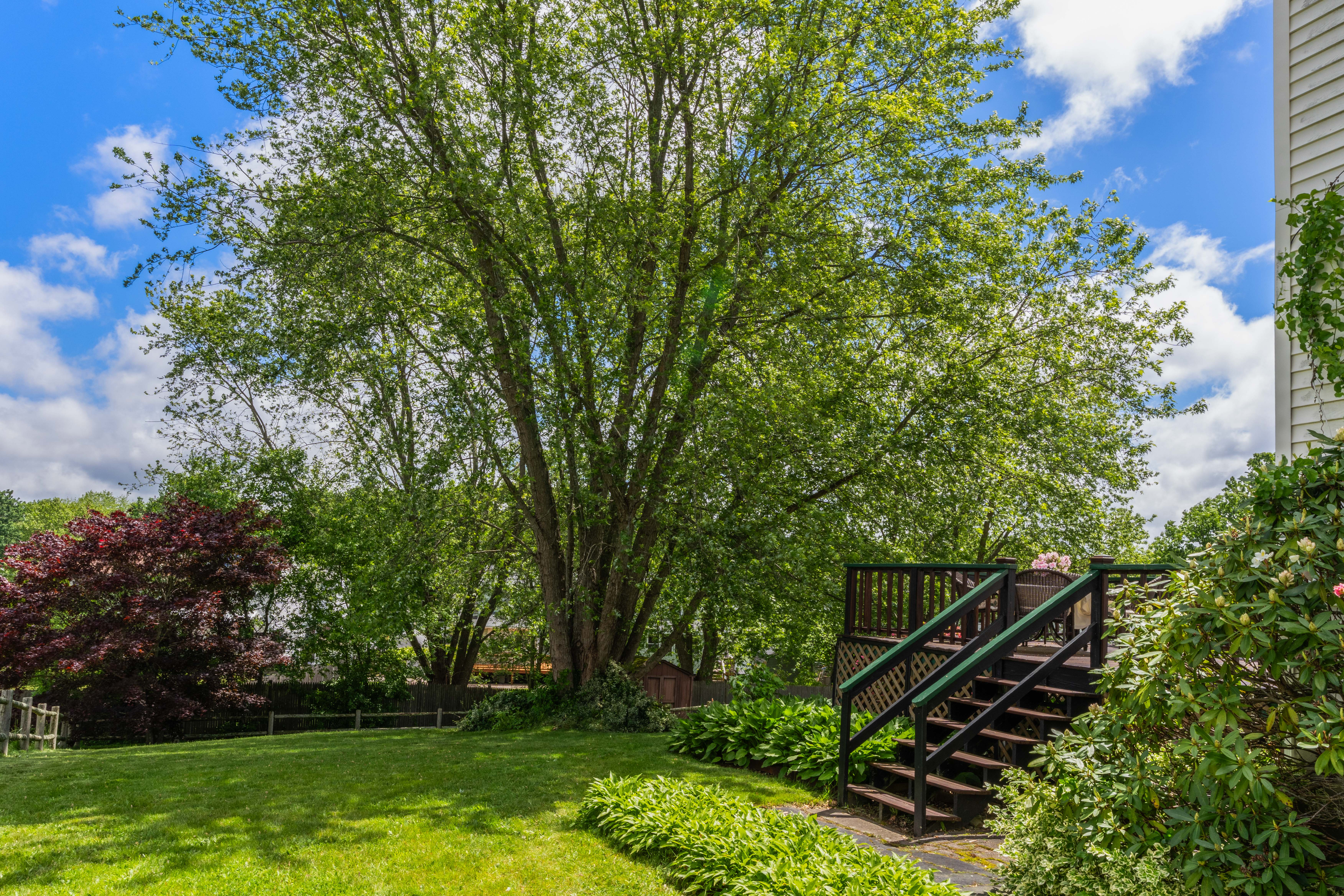  59 Boylston Street, Randolph, MA, 02366 - 物件實景