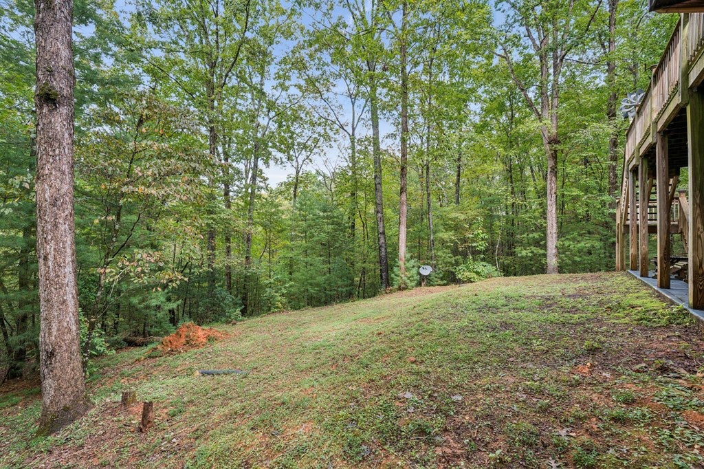 Ellijay, Georgia, 30540, United States, 3 Bedrooms Bedrooms, ,4 BathroomsBathrooms,Residential,For Sale,1952402