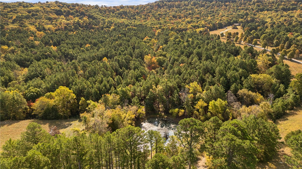 Harrison, Arkansas, 72601, United States, ,Land,For Sale,1903460