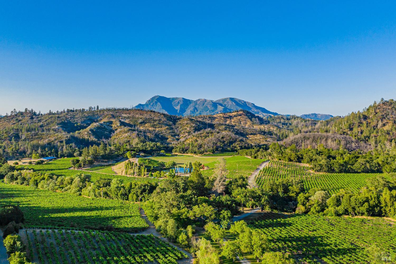 Calistoga, California, 94515, United States, 8 Bedrooms Bedrooms, ,10 BathroomsBathrooms,Residential,For Sale,1940102