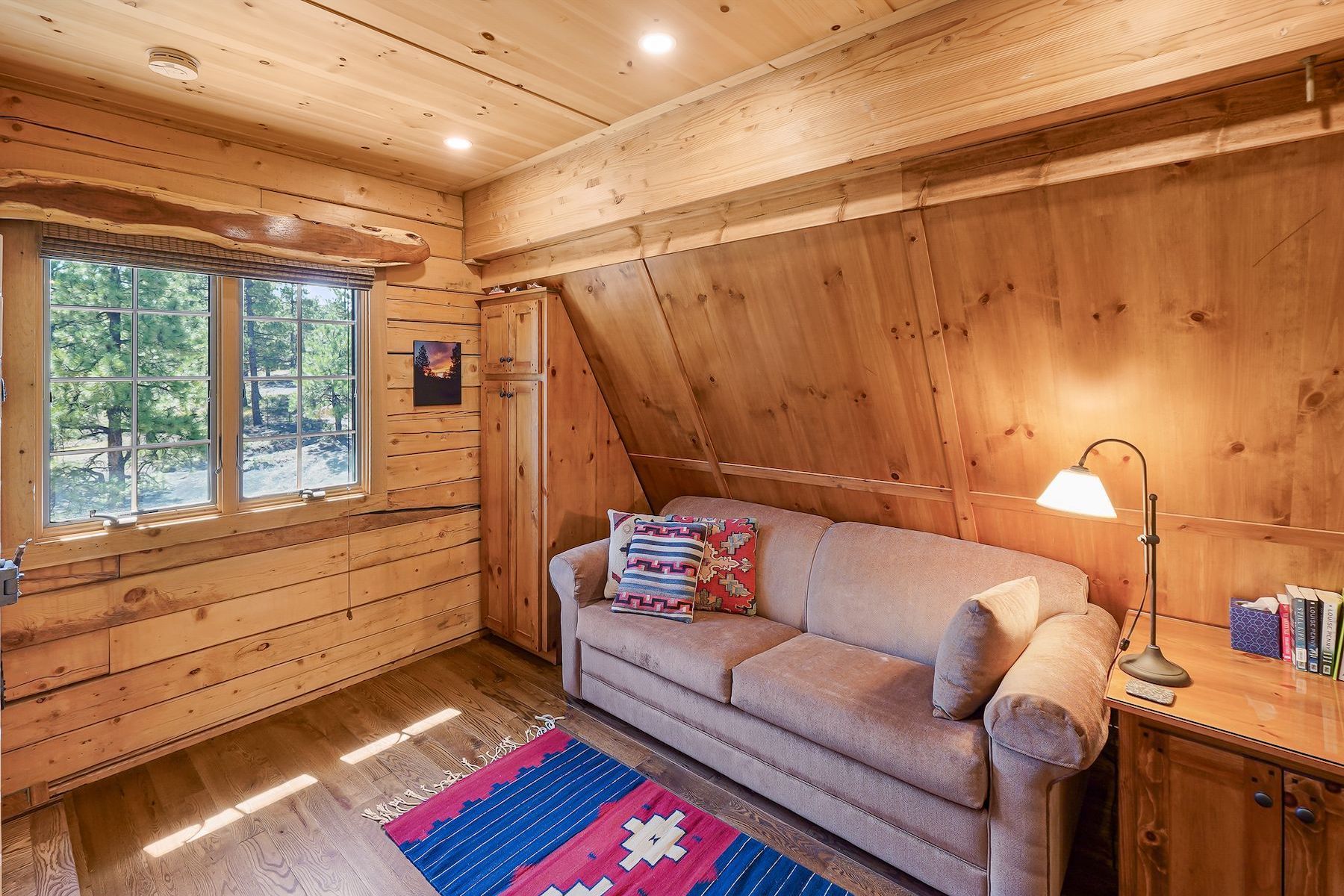  407 Corsair Ranch Place, Pagosa Springs, CO 81147 - 物件實景