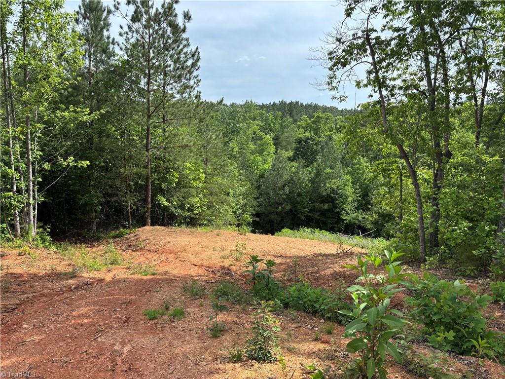 Pinnacle, North Carolina, 27043, United States, ,Land,For Sale,1829534
