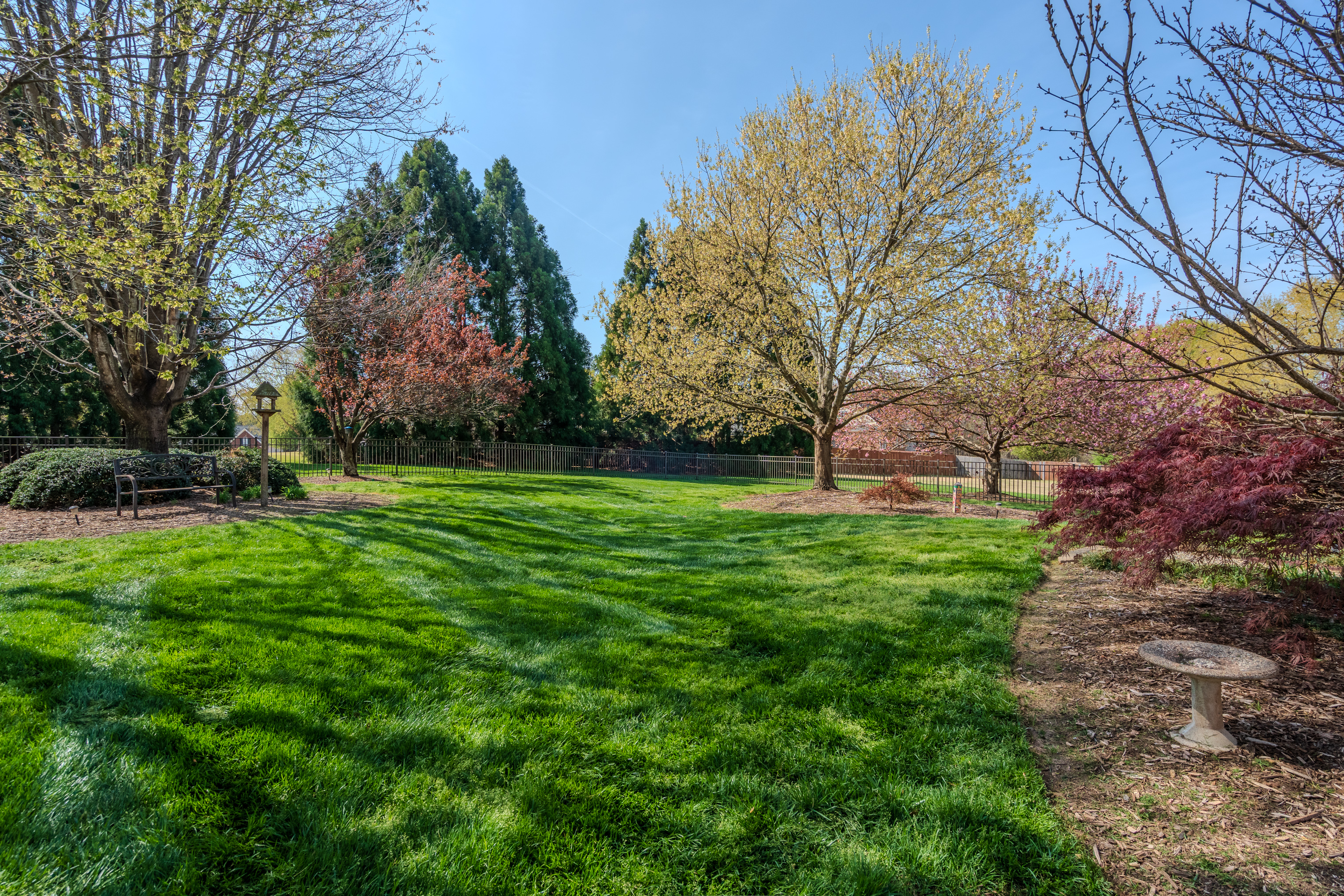  459 Cobblestone Drive, Inman, SC 29349 - 物件實景