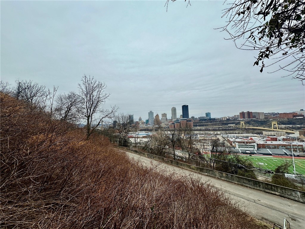 South Side, Pennsylvania, 15203, United States, ,Residential,For Sale,1732018