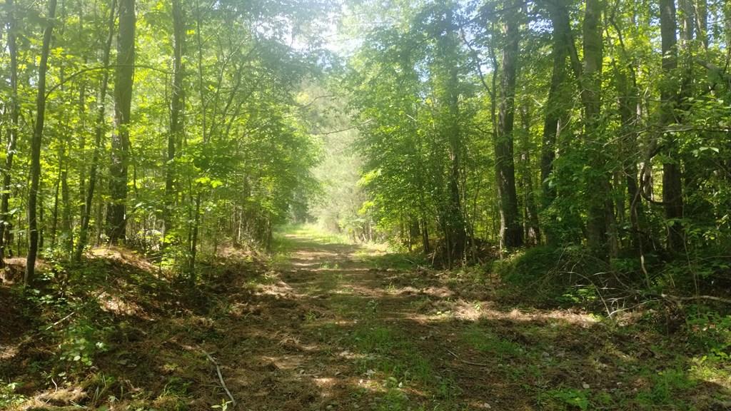 Ranger, Georgia, 30734, United States, ,Residential,For Sale,1924900