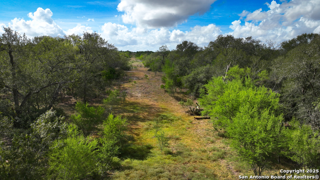 Nixon, Texas, 78140, United States, ,Residential,For Sale,1988320