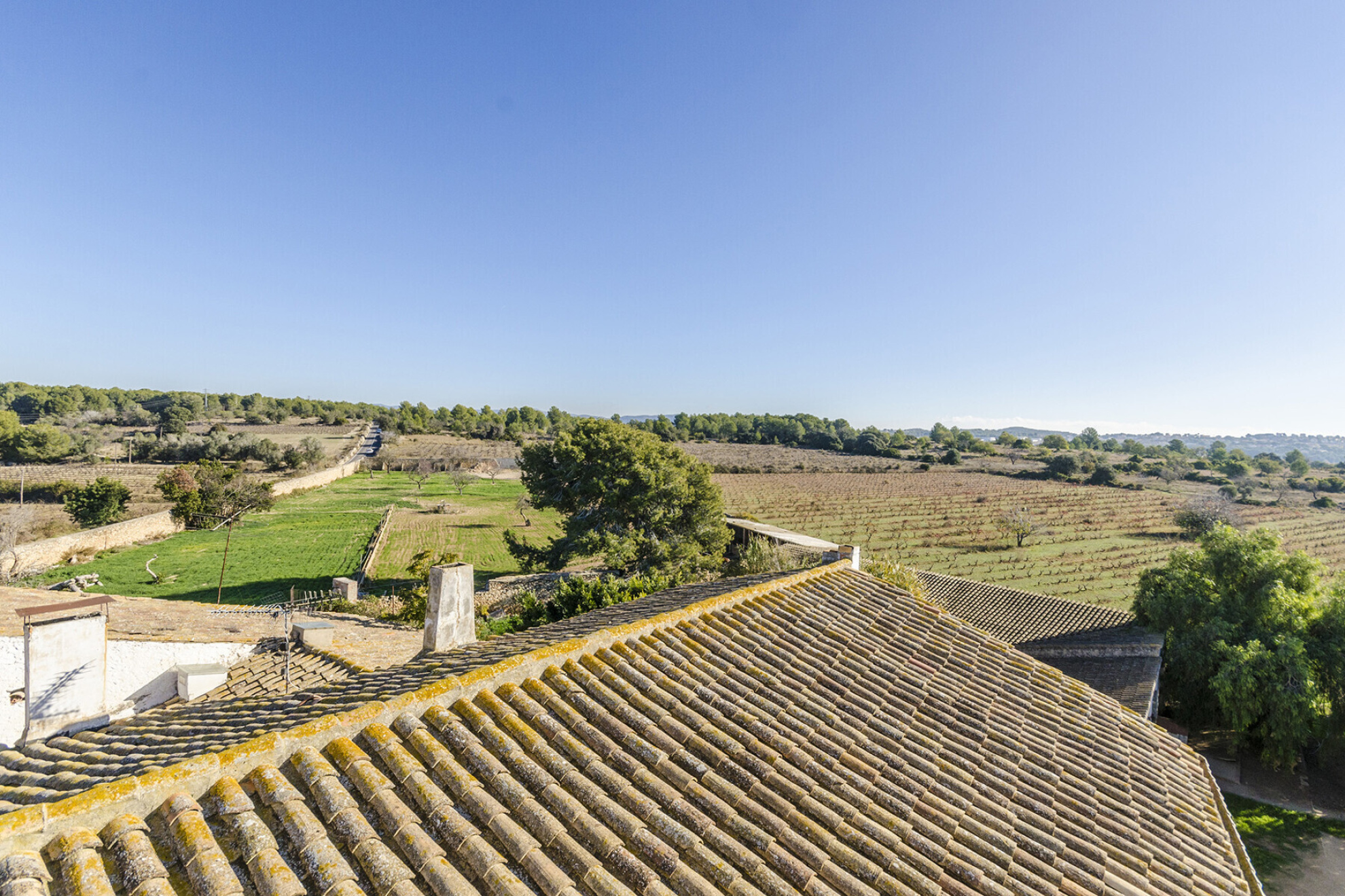  Masia with Vineyards and 3.13 Hectares in Vilanova i la Geltrú - 物件實景
