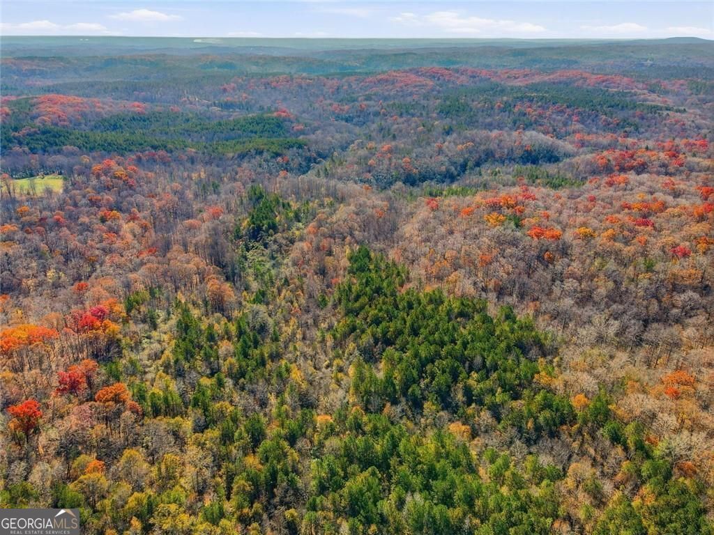 Jasper, Georgia, 30143, United States, ,Land,For Sale,1996551