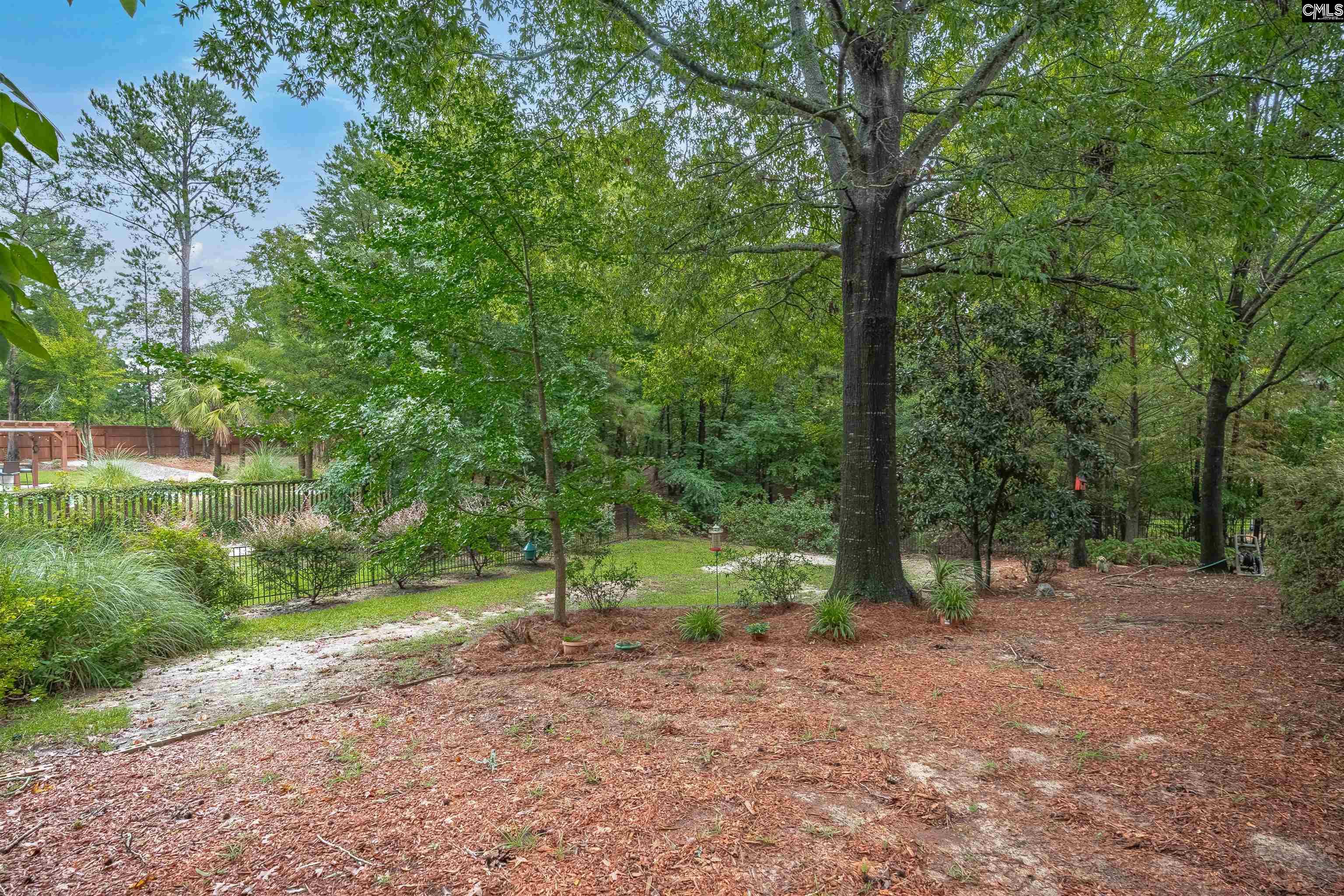 Chapin, South Carolina, 29036, United States, 3 Bedrooms Bedrooms, ,3 BathroomsBathrooms,Residential,For Sale,1918732
