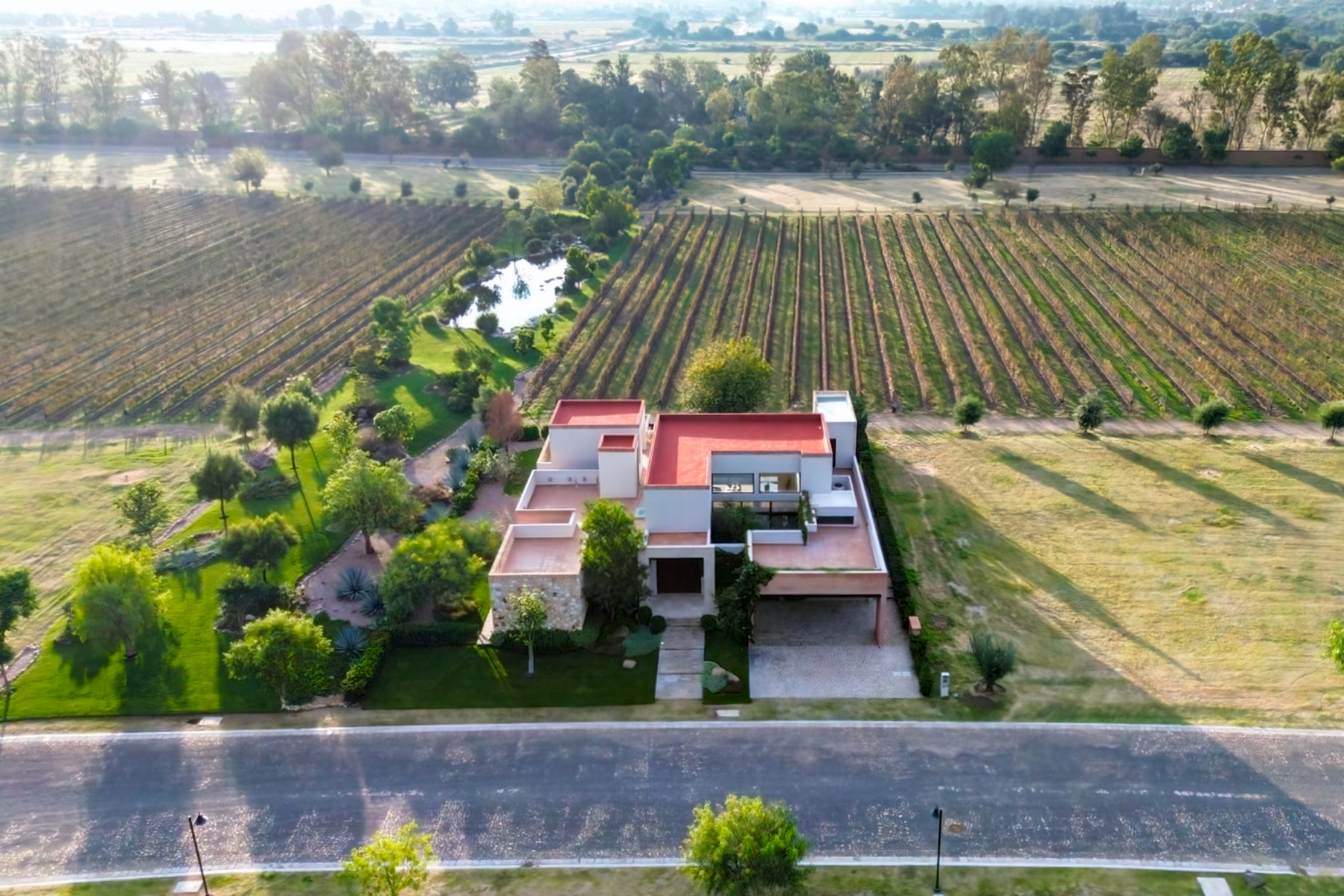  Los Remedios Tempranillo 407 - 物件實景