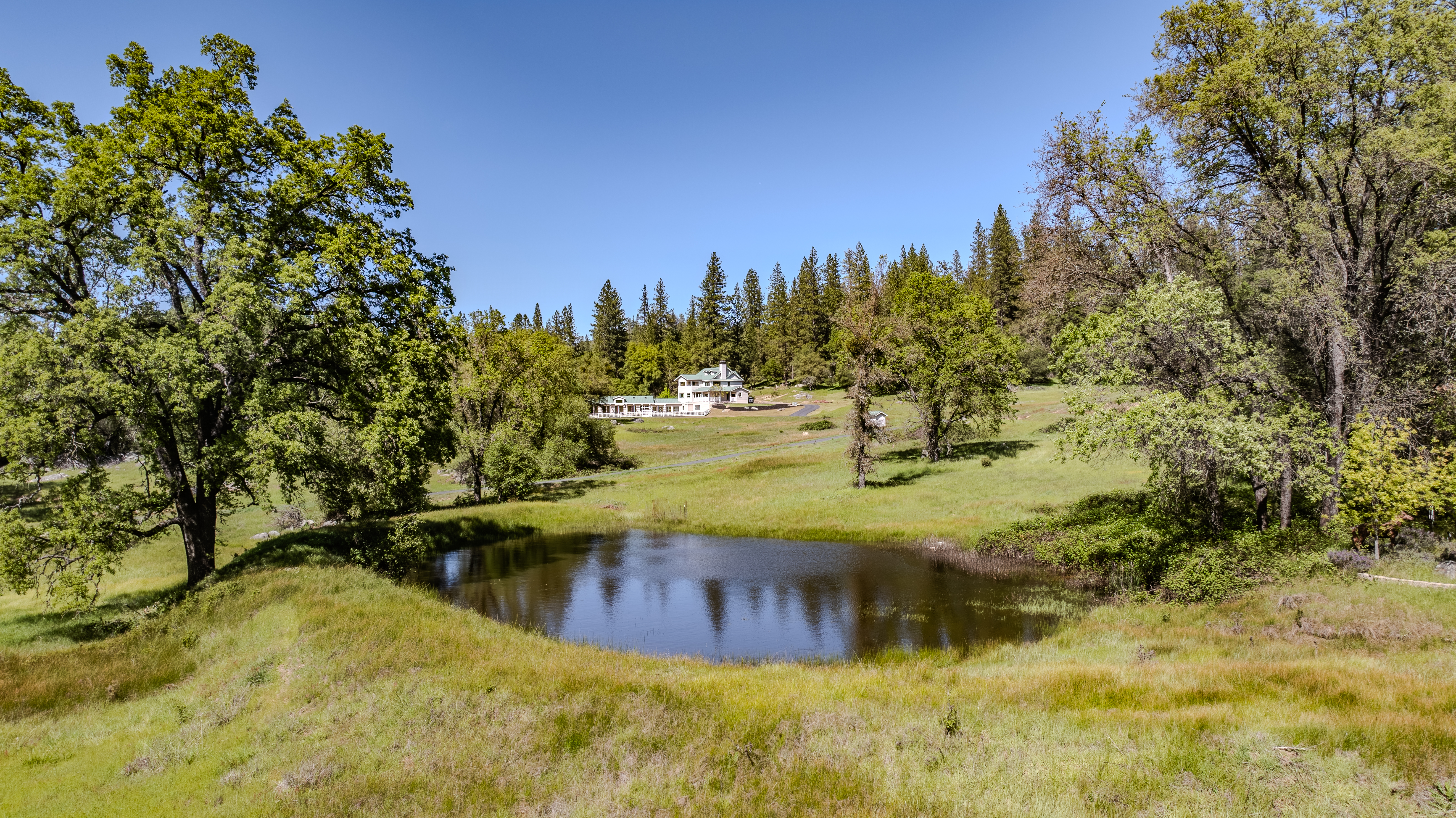  40 Acres - Fully Wheelchair Accessible - Indoor Pool - 物件實景