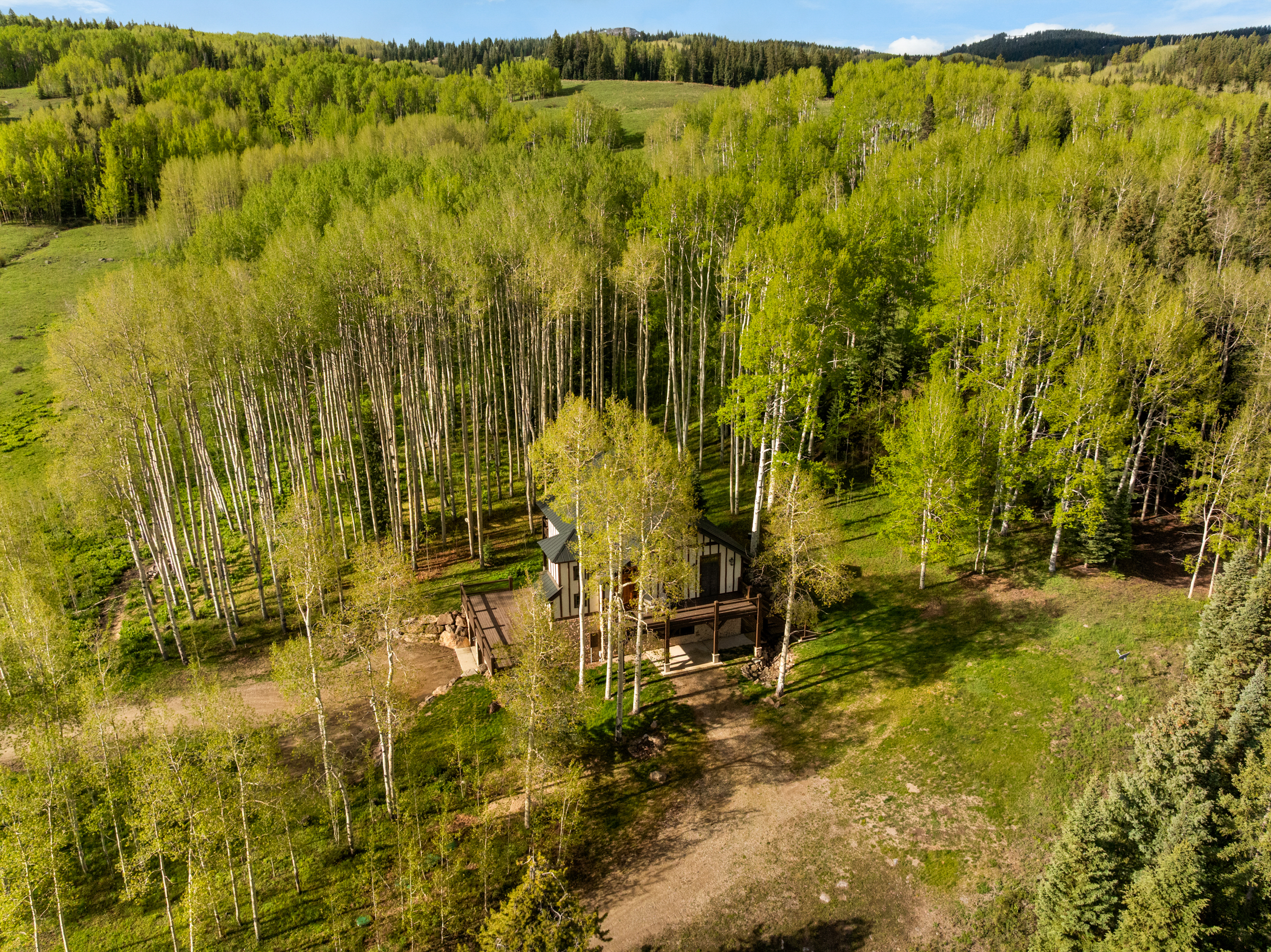  A Serene Mountain Setting At Red Mountain Ranch Near Crested Butte - 物件實景