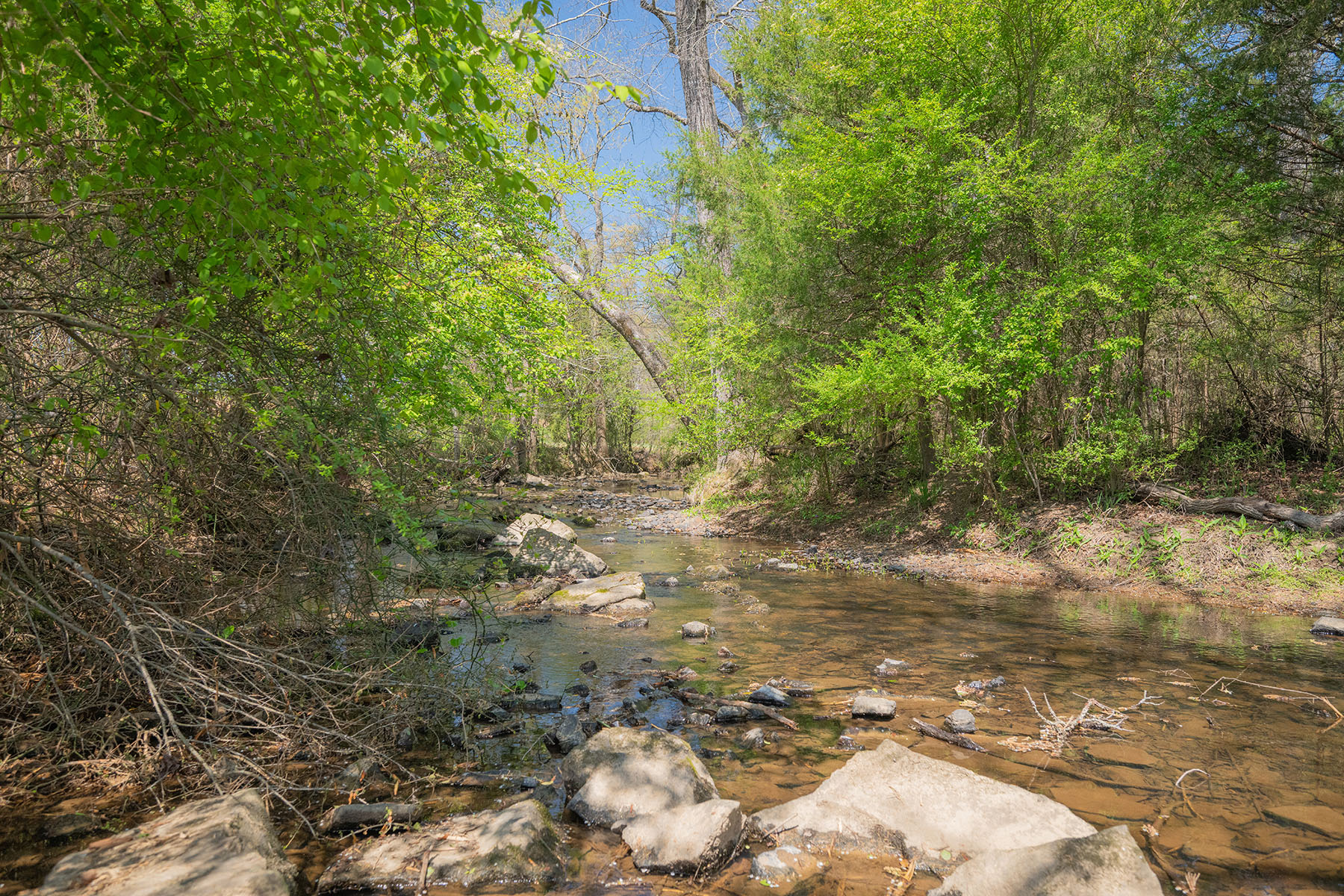  Albemarle - 物件實景