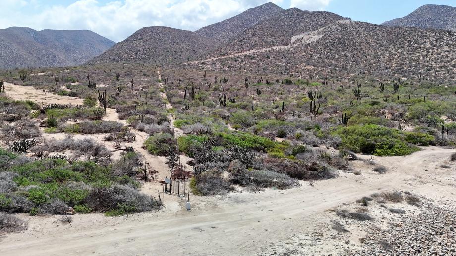 Sin calle, El Jalito, Baja California Sur, 23232, Mexico, 1 Bedroom Bedrooms, ,Residential,For Sale,Sin calle,1652731