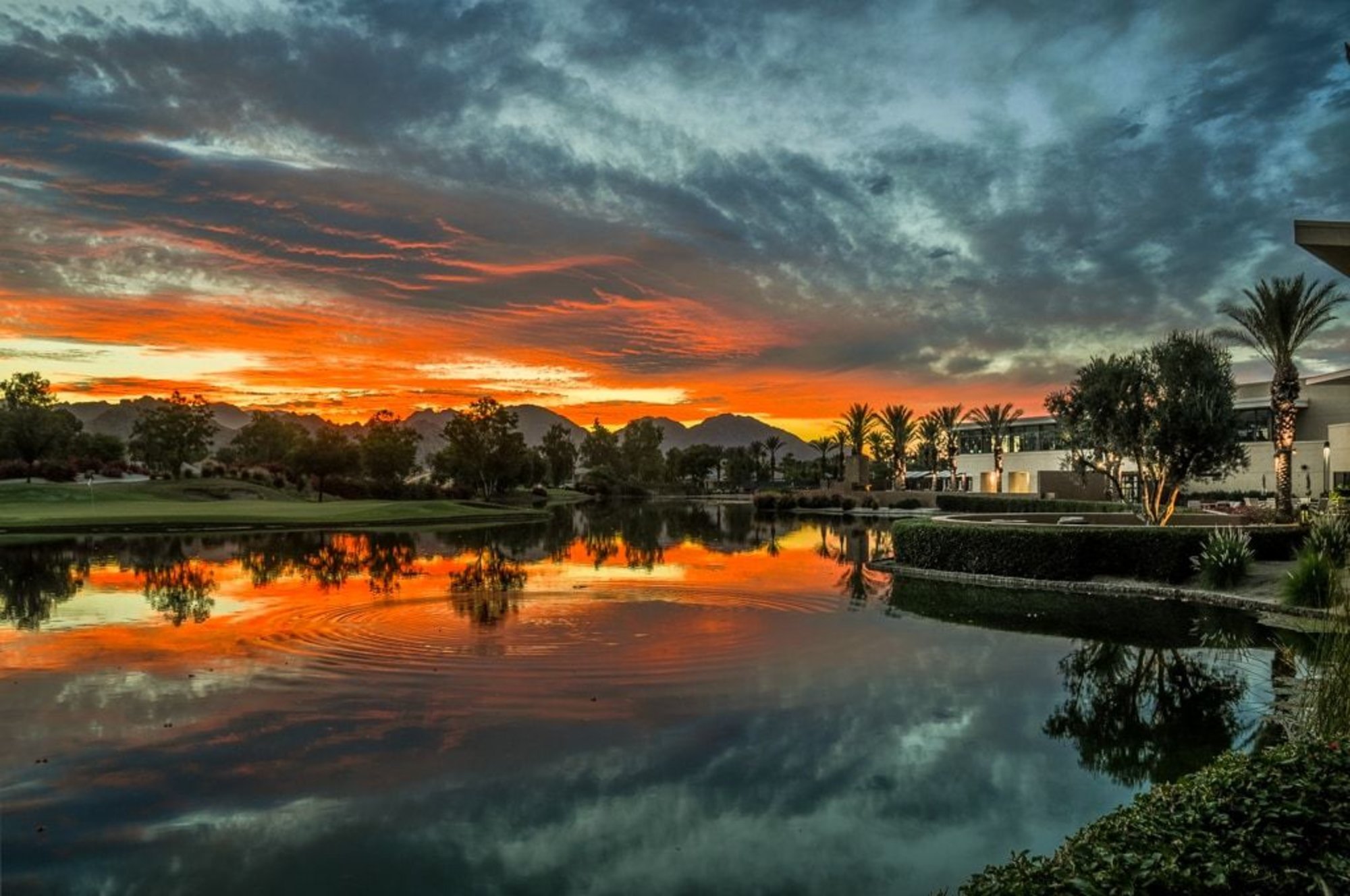  Live the Dream Trilogy La Quinta and Golf Club 55+ - 物件實景