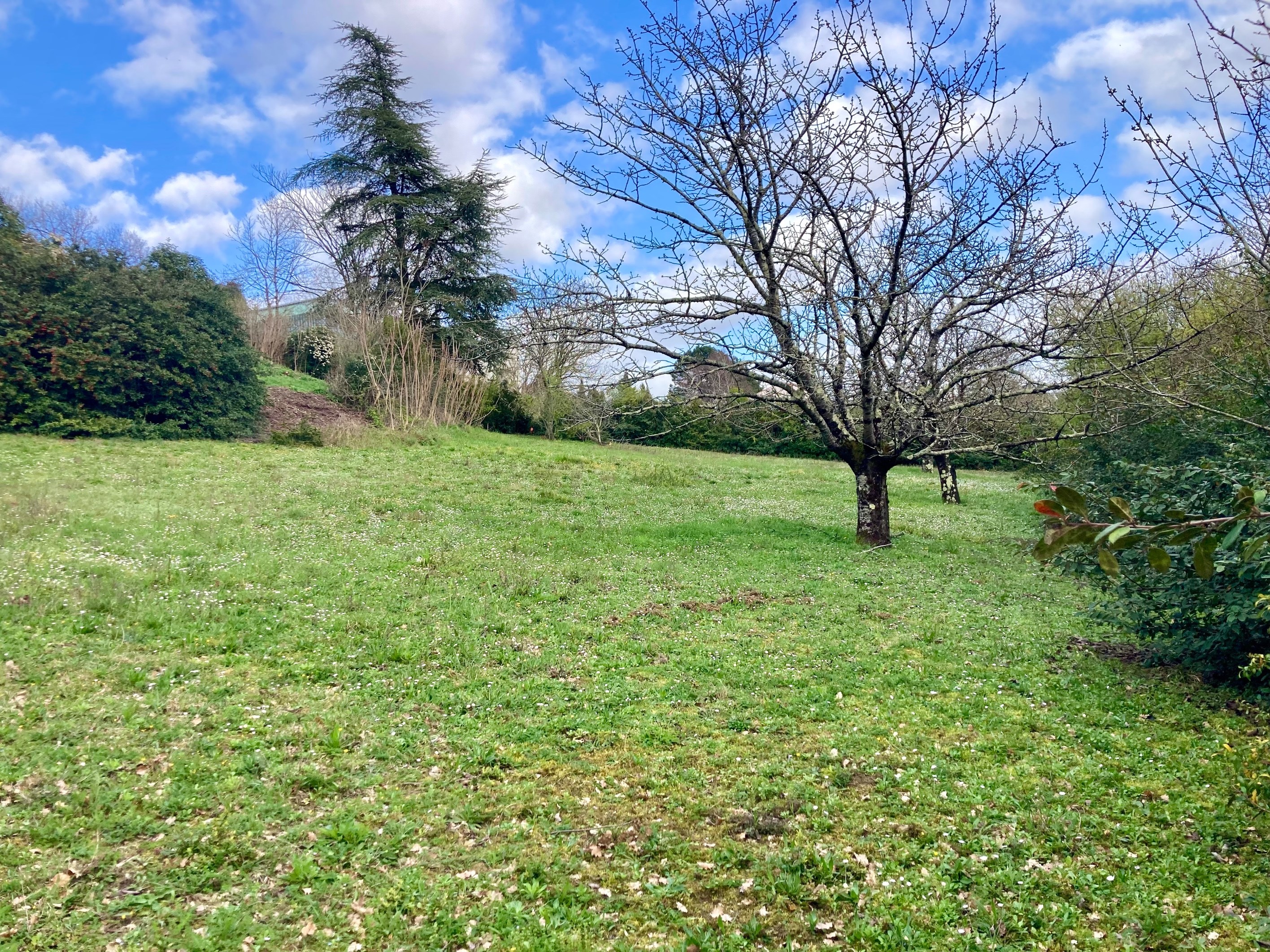  Terrain - 物件實景