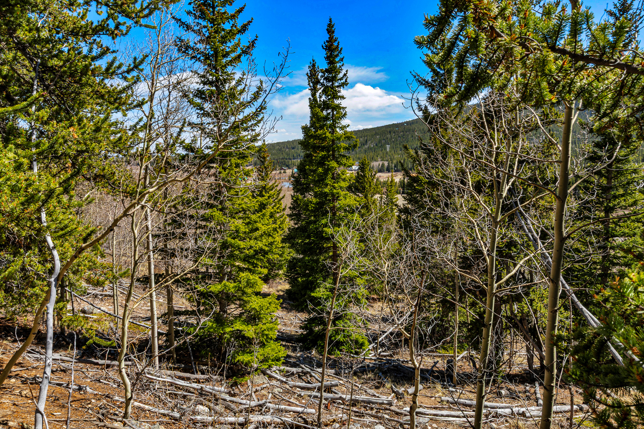  270 Co Rd 667, Alma, CO, 80440 - 物件實景