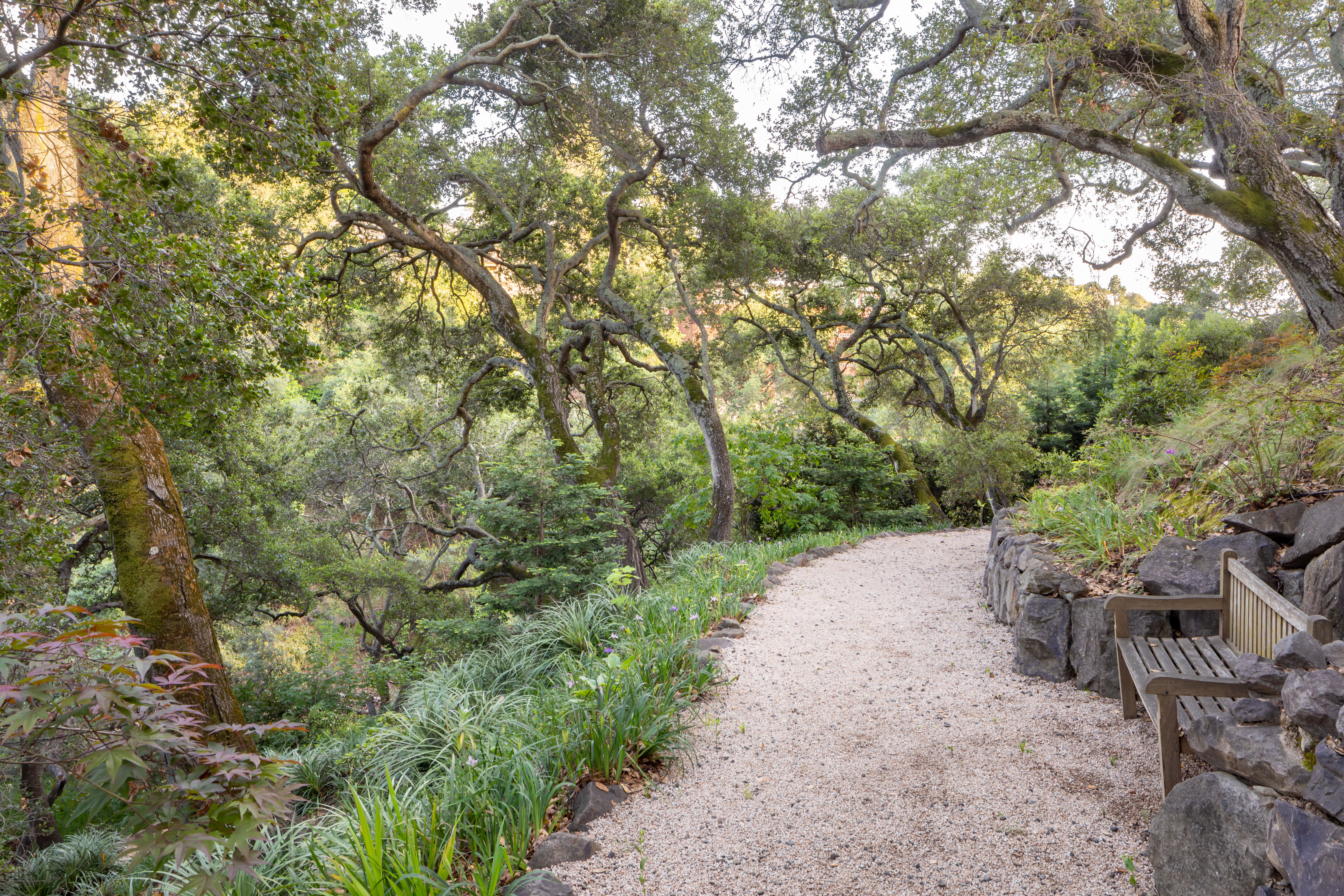  The Pinnacle of Piedmont: A Legacy Estate Without Peer - 物件實景