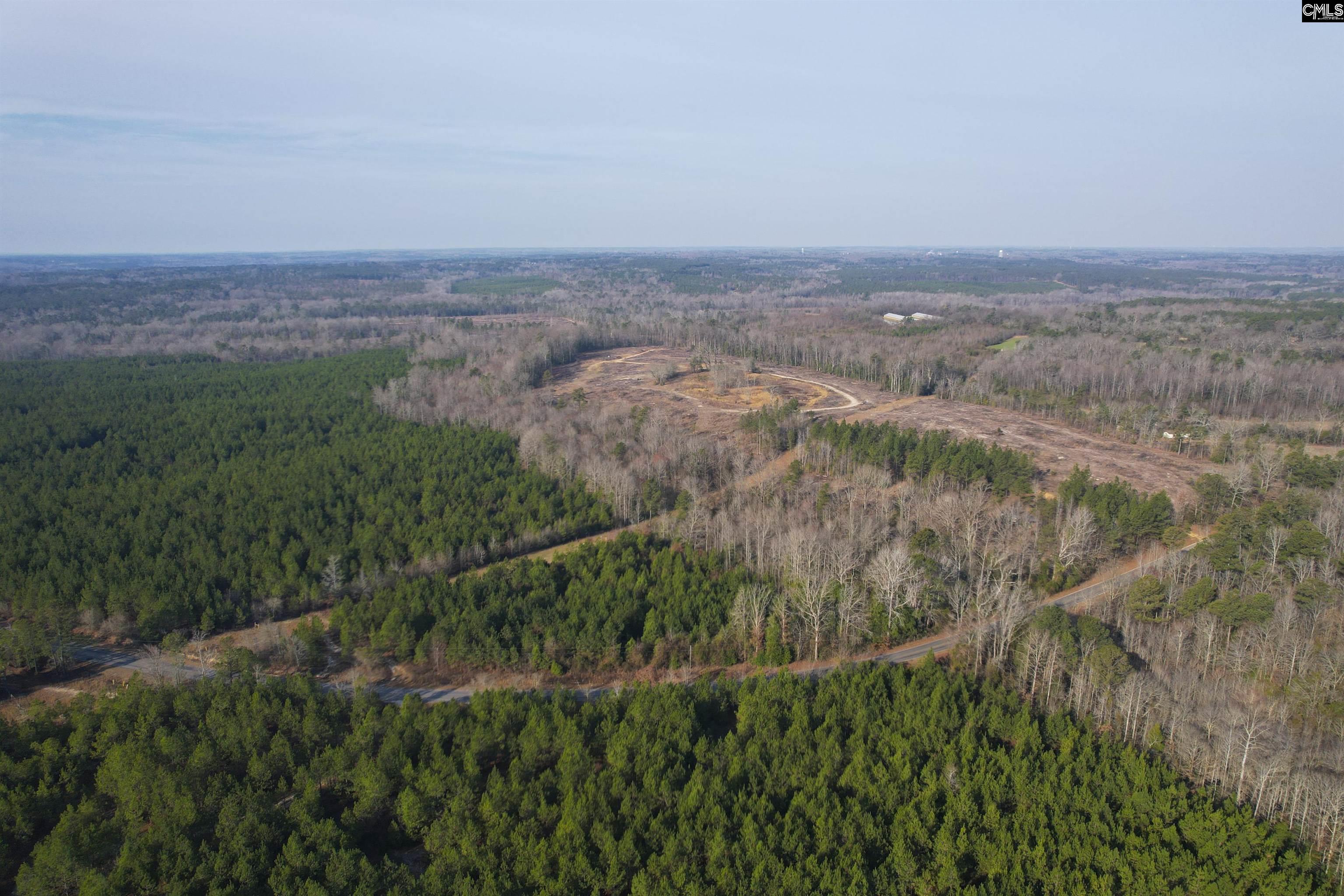 703 Neds Creek Road, Kershaw, South Carolina, 29067, United States, ,Land,For Sale,703 Neds Creek Road,1669372