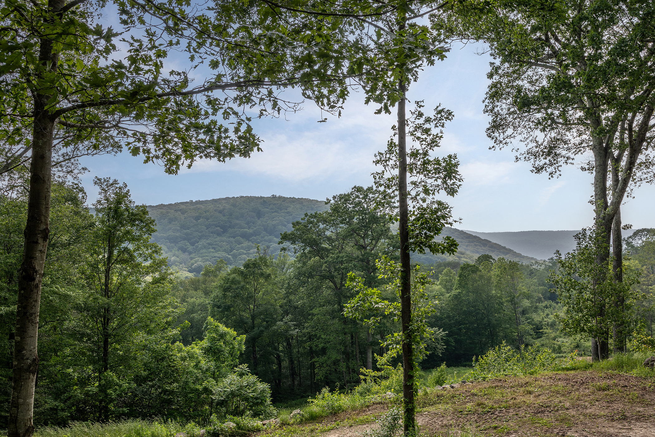  178 Carter Road - 物件實景